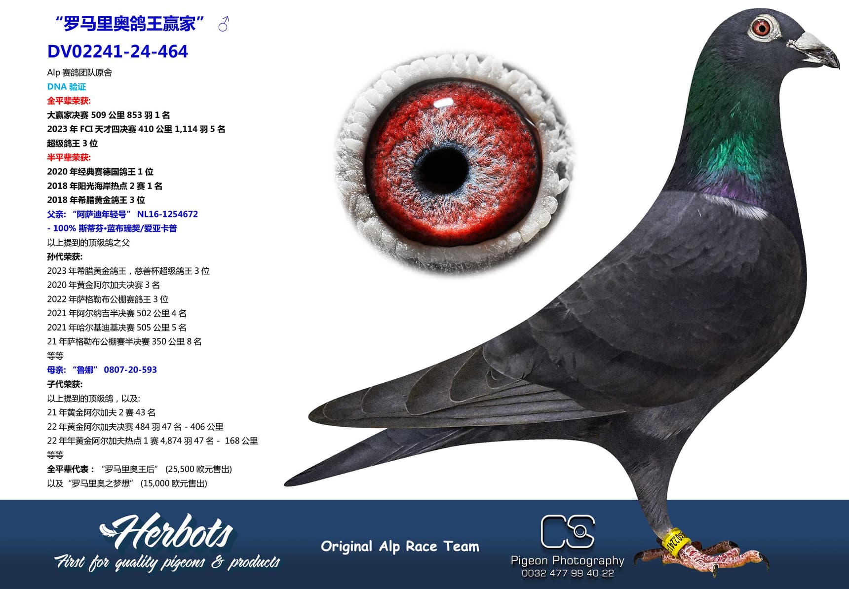 pigeon: undefined