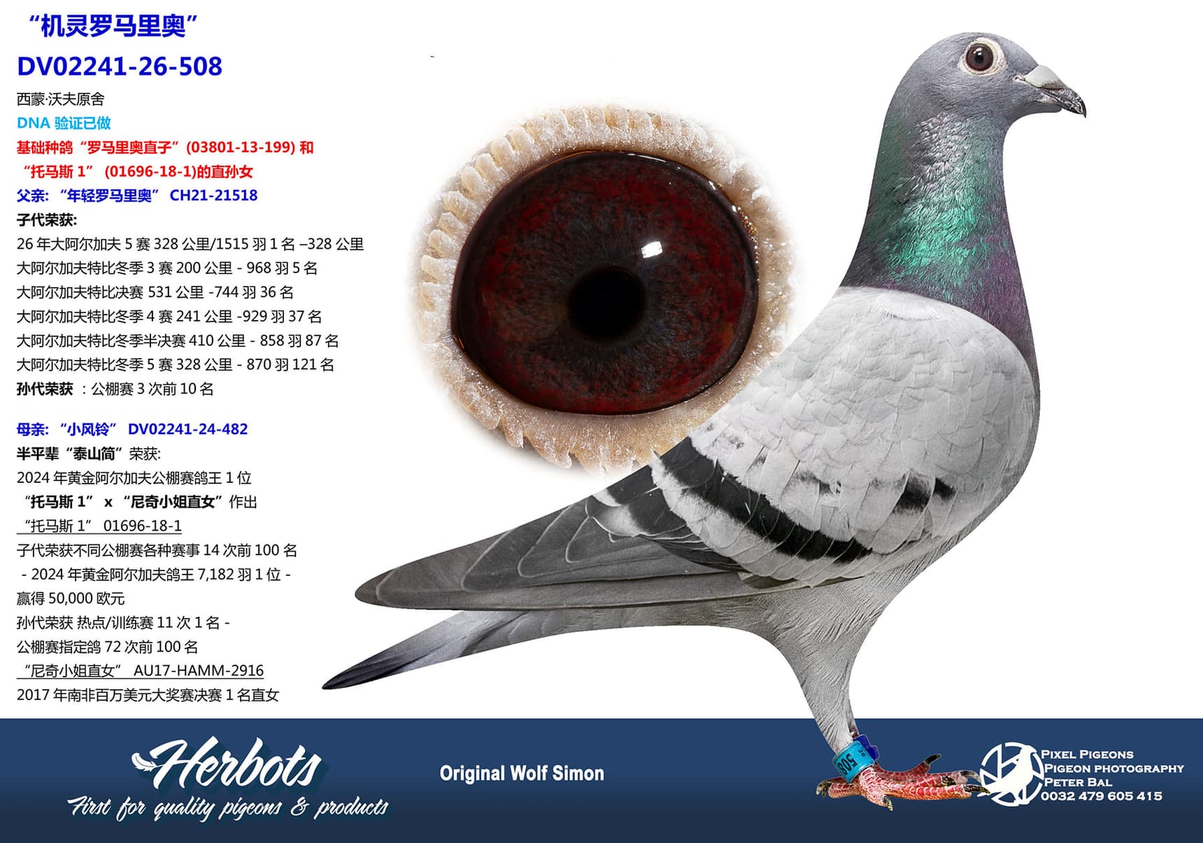 pigeon: undefined
