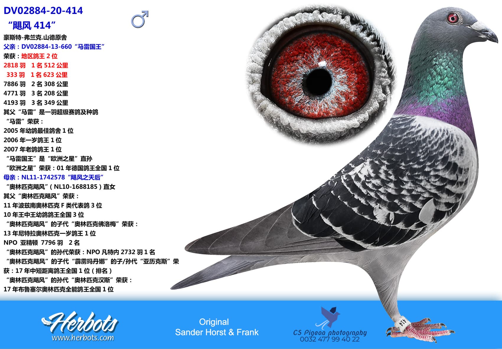 pigeon: Hurricane 414