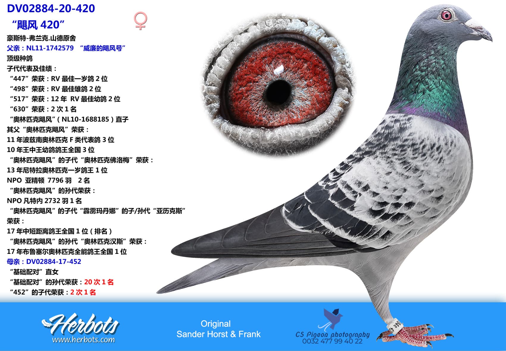 pigeon: Hurricane 420