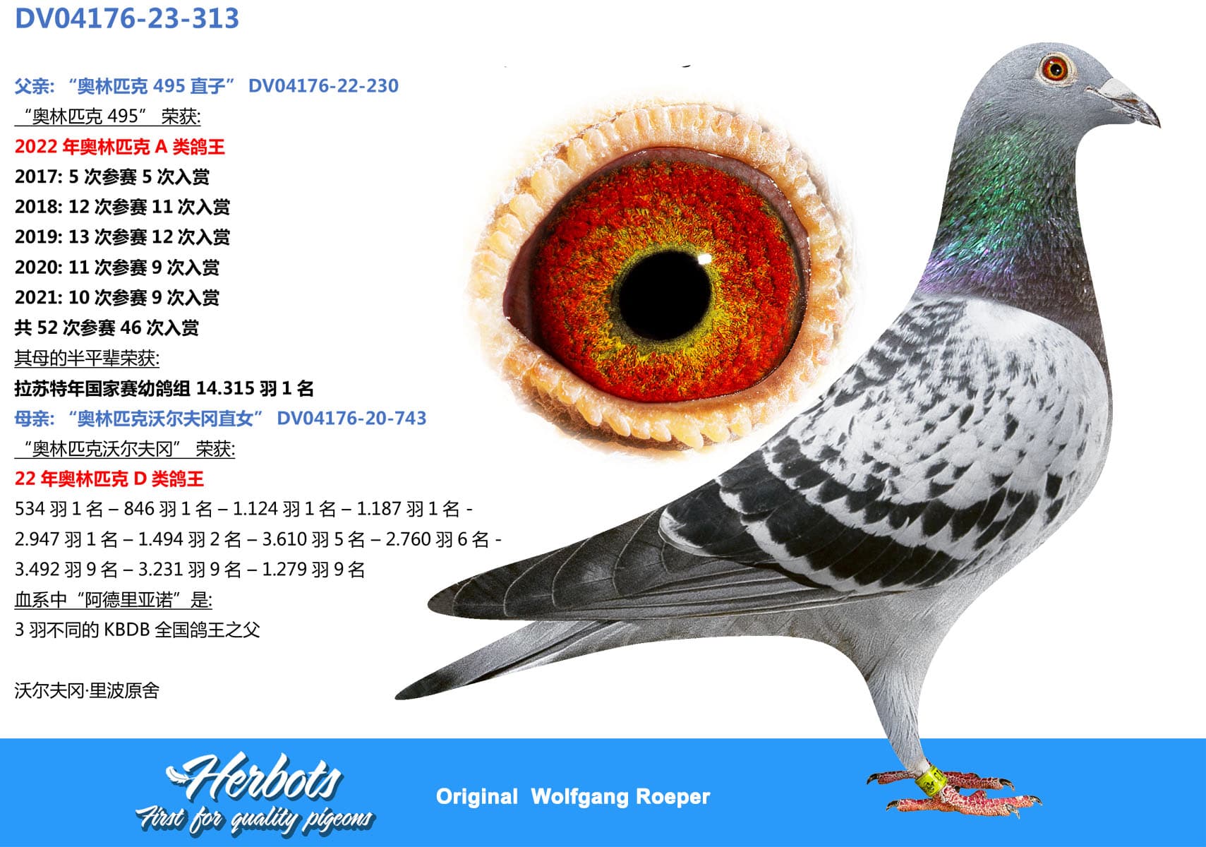 pigeon: "Roeper 313"