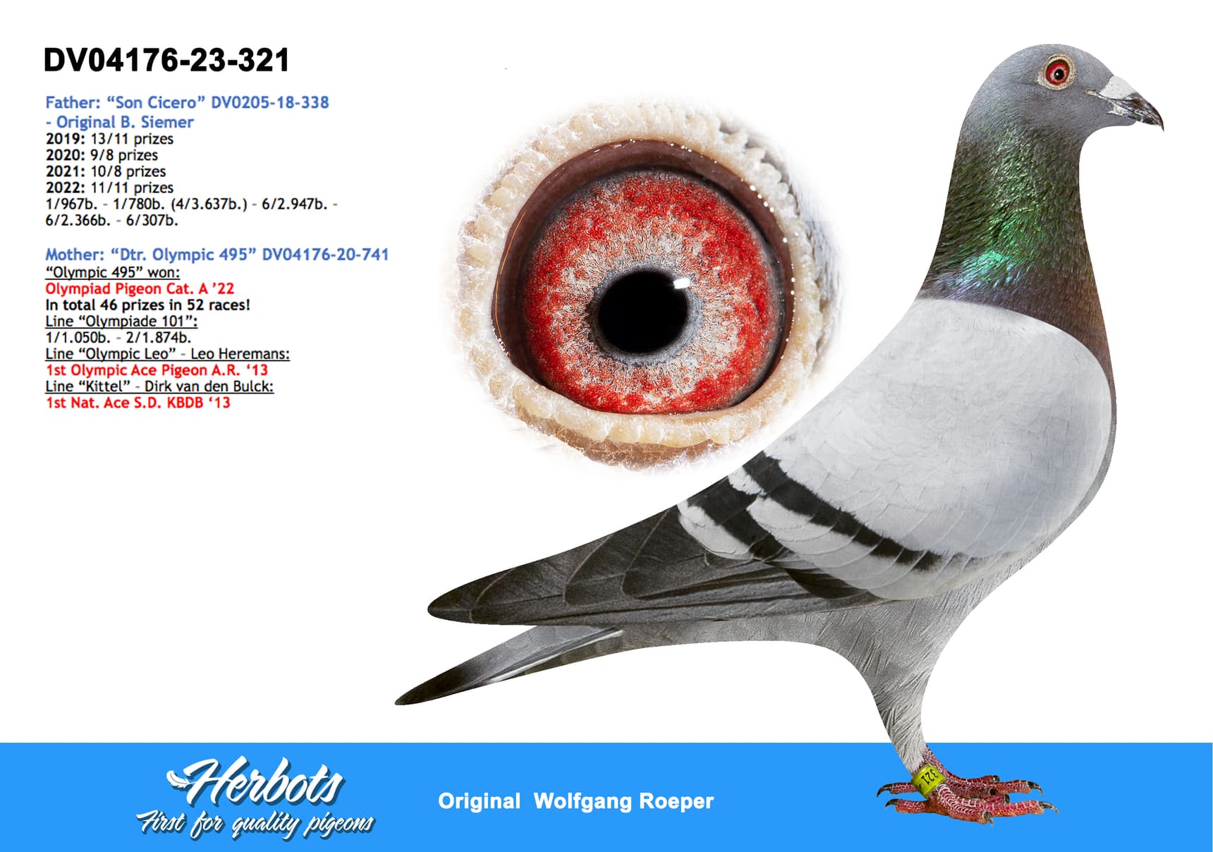 pigeon: "Roeper 321"