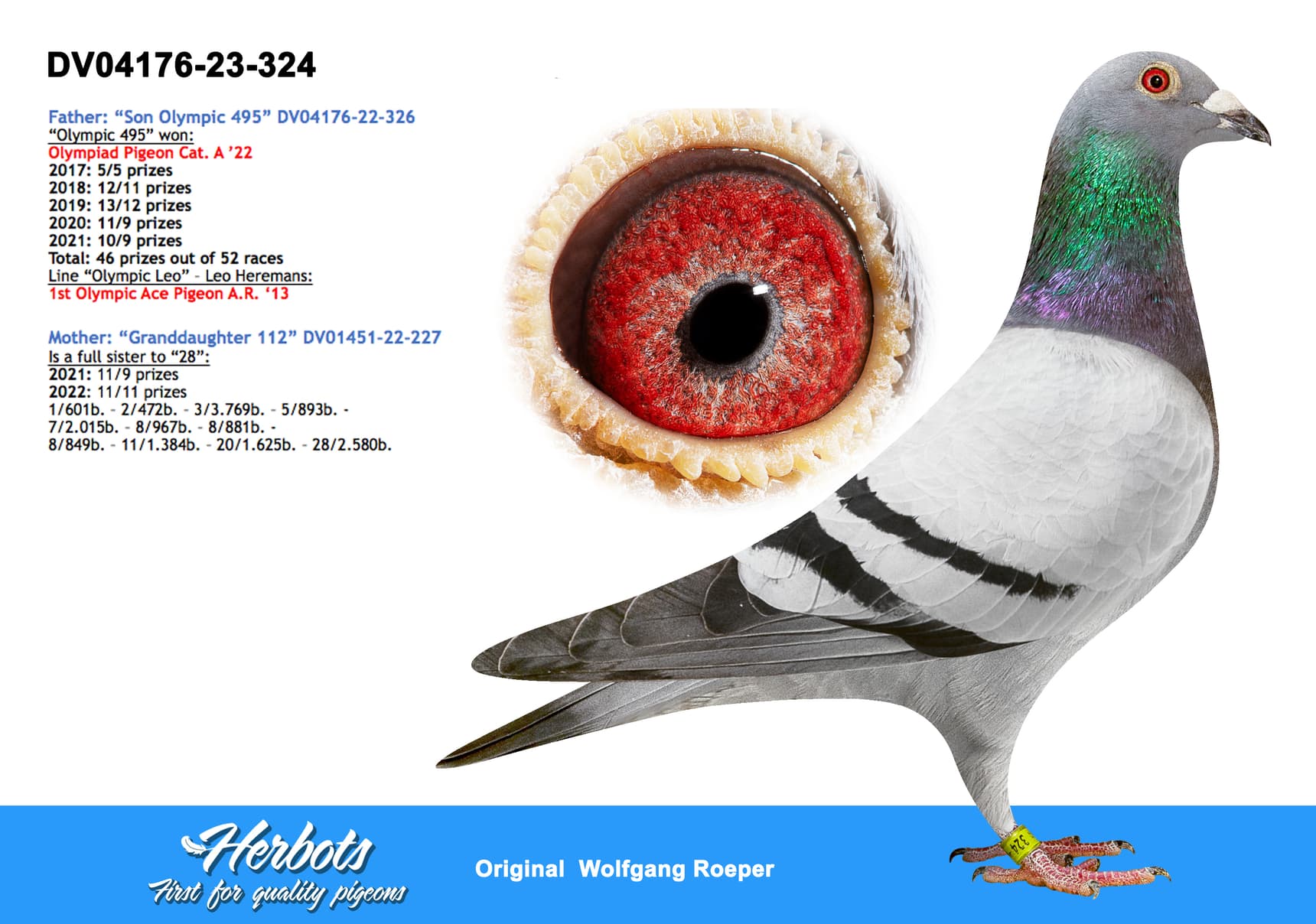 pigeon: undefined