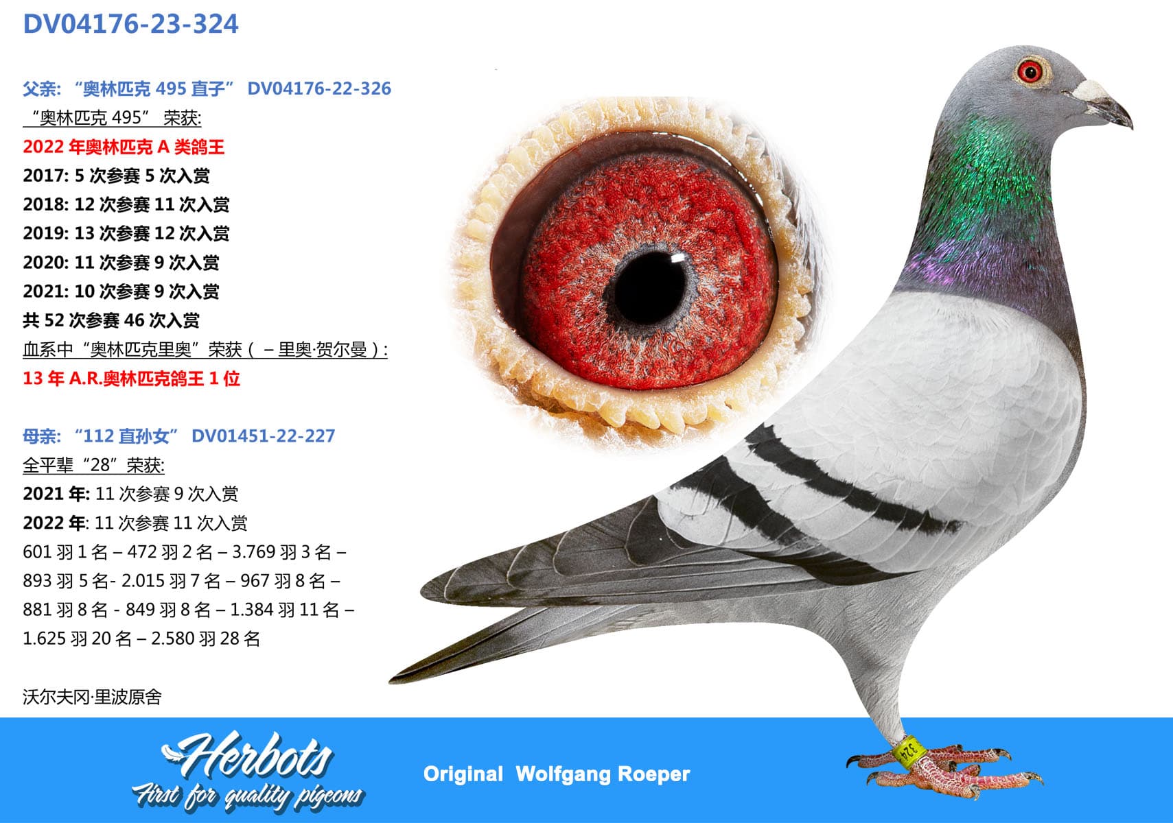 pigeon: "Roeper 324"