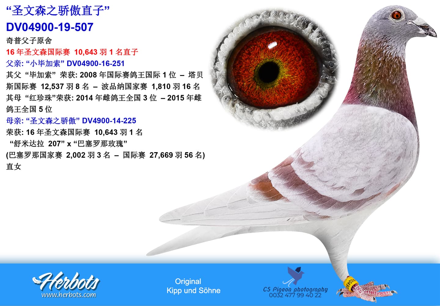 pigeon: “圣文森之骄傲直子”