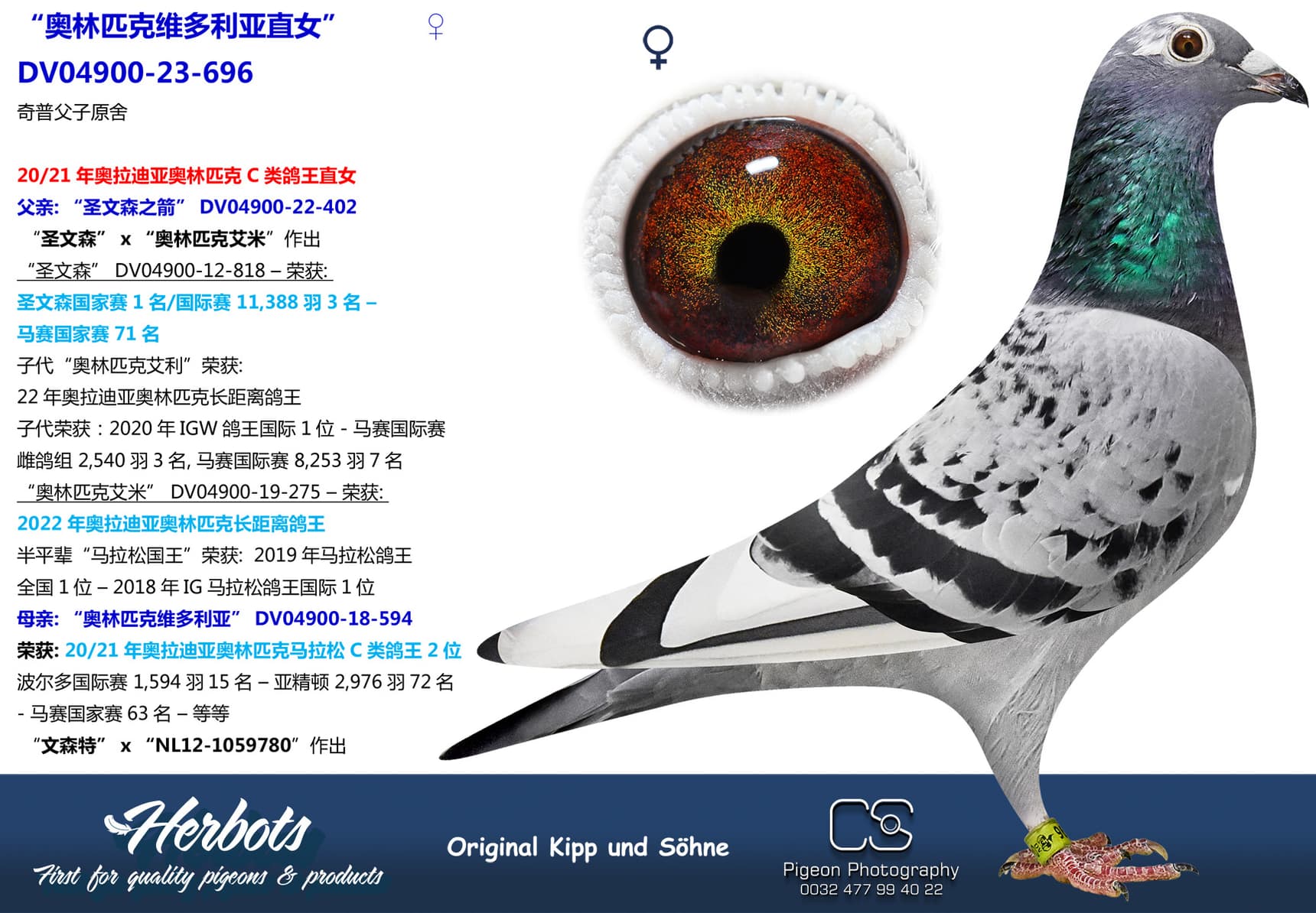 pigeon: “奥林匹克维多利亚直女”