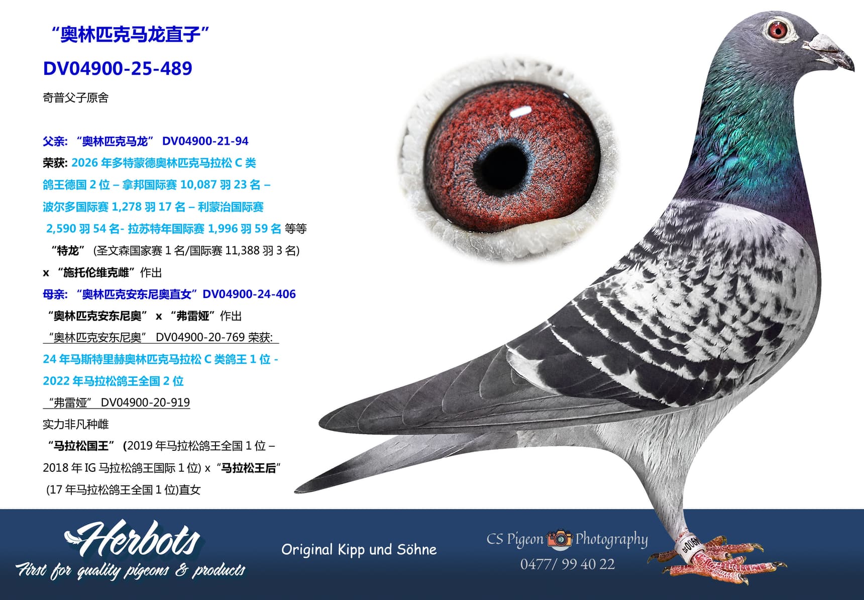 pigeon: undefined