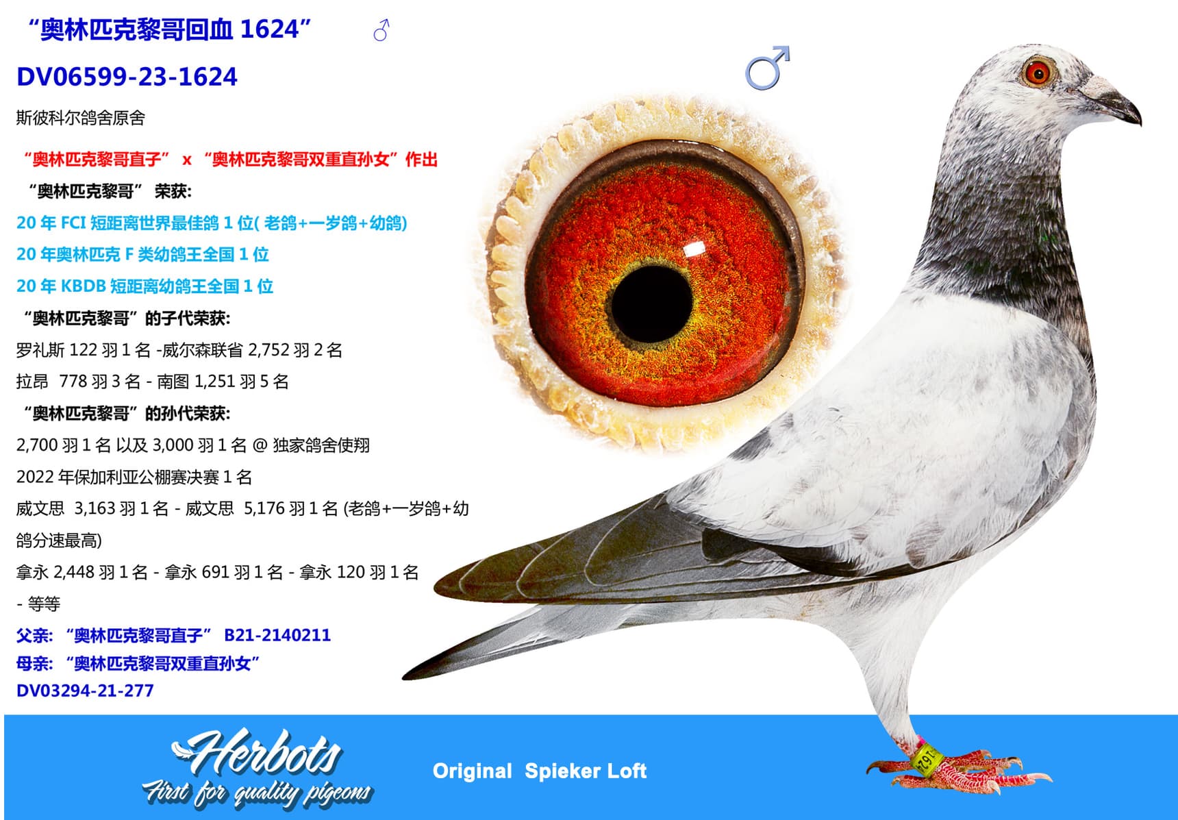 pigeon: “奥林匹克黎哥回血1624”