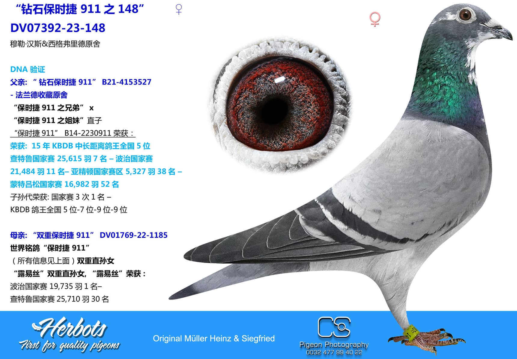 pigeon: “钻石保时捷 911之148”
