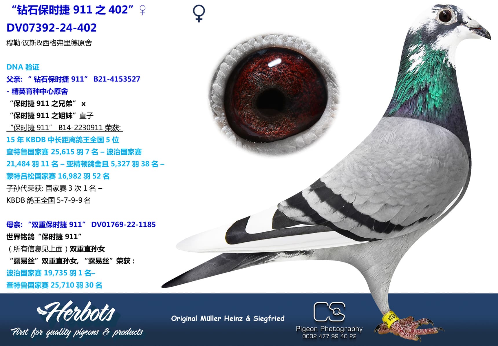 pigeon: “钻石保时捷 911之402”