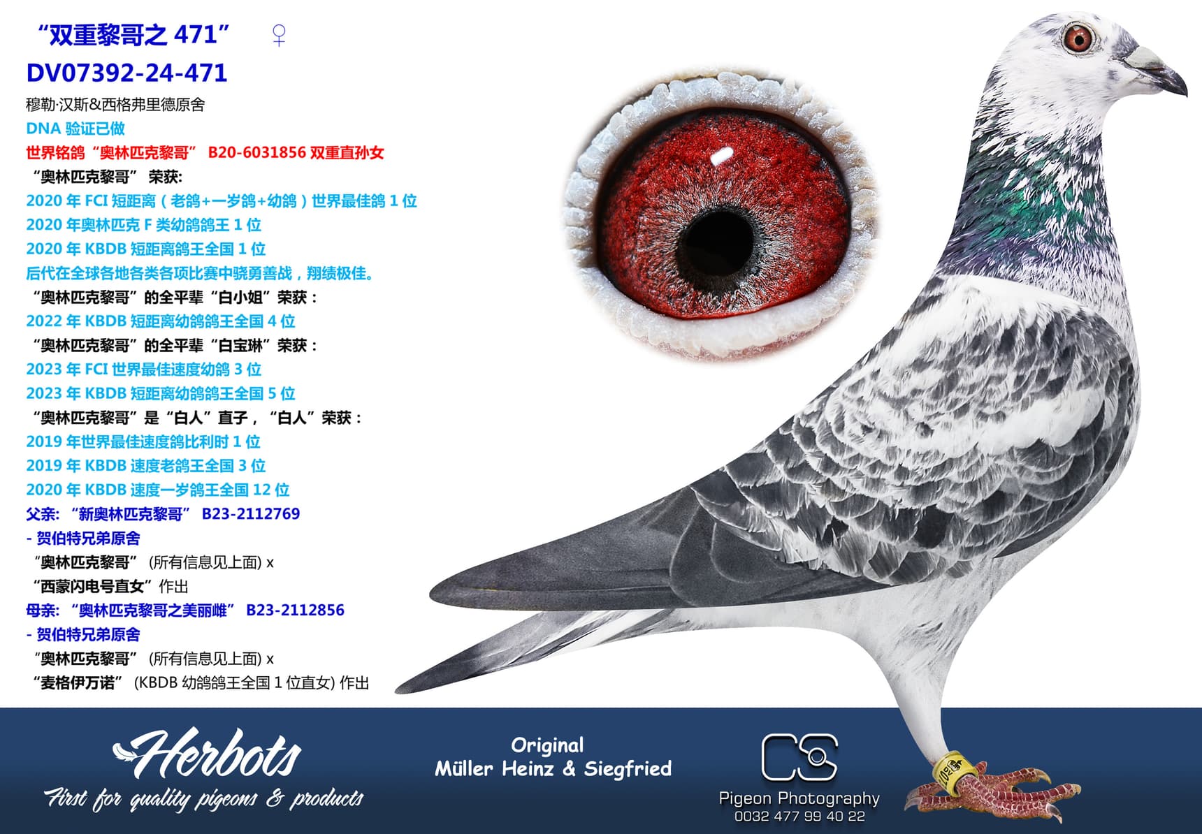 pigeon: “双重黎哥之471”