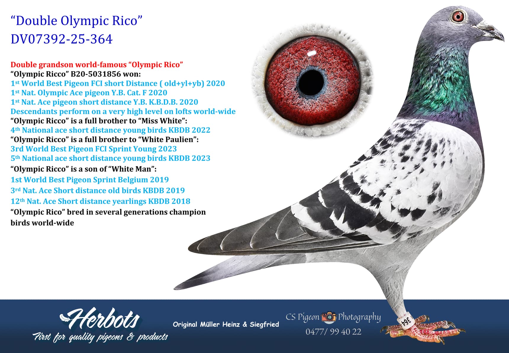 pigeon: undefined