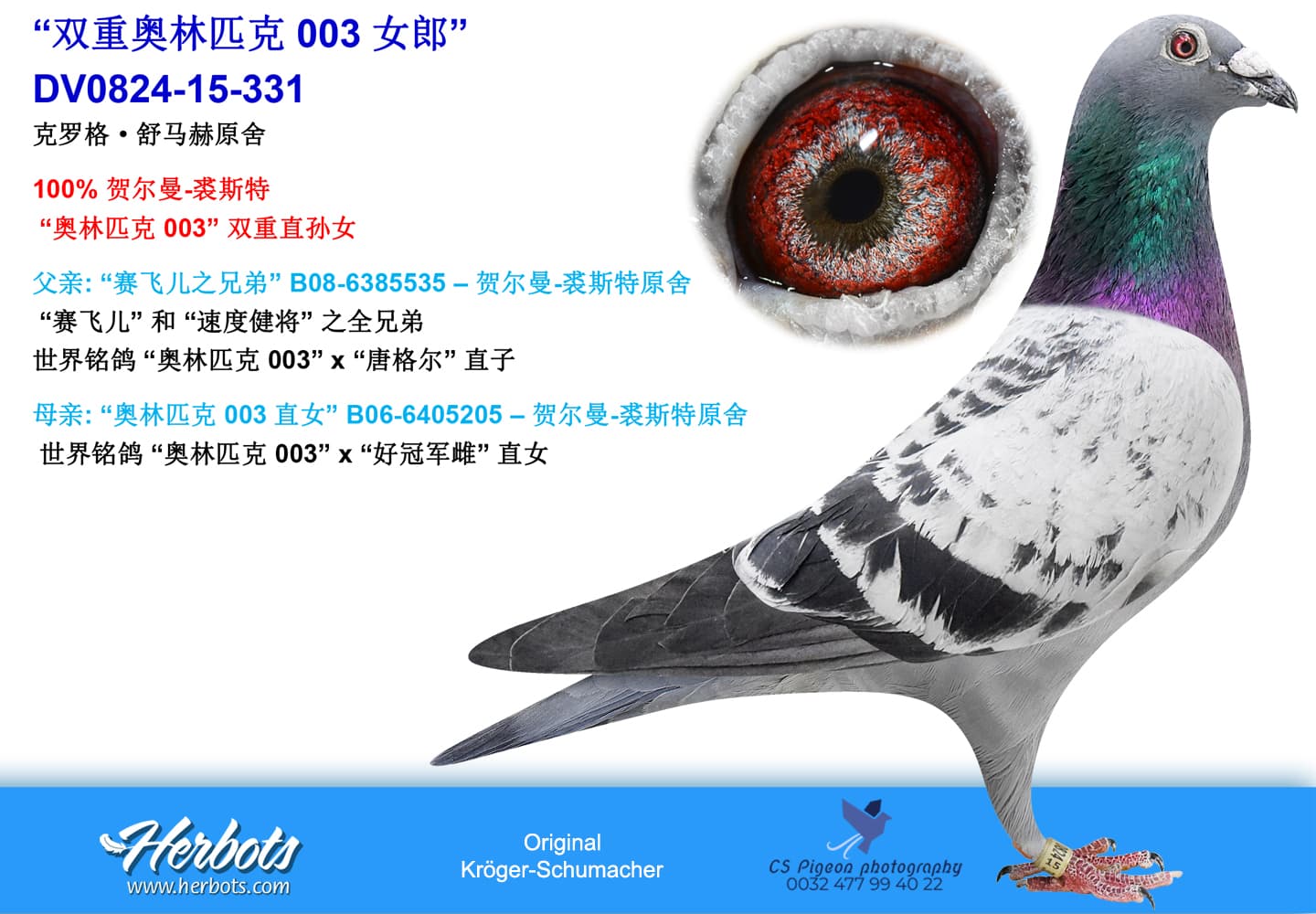 pigeon: “奥林匹克 003双重女郎”