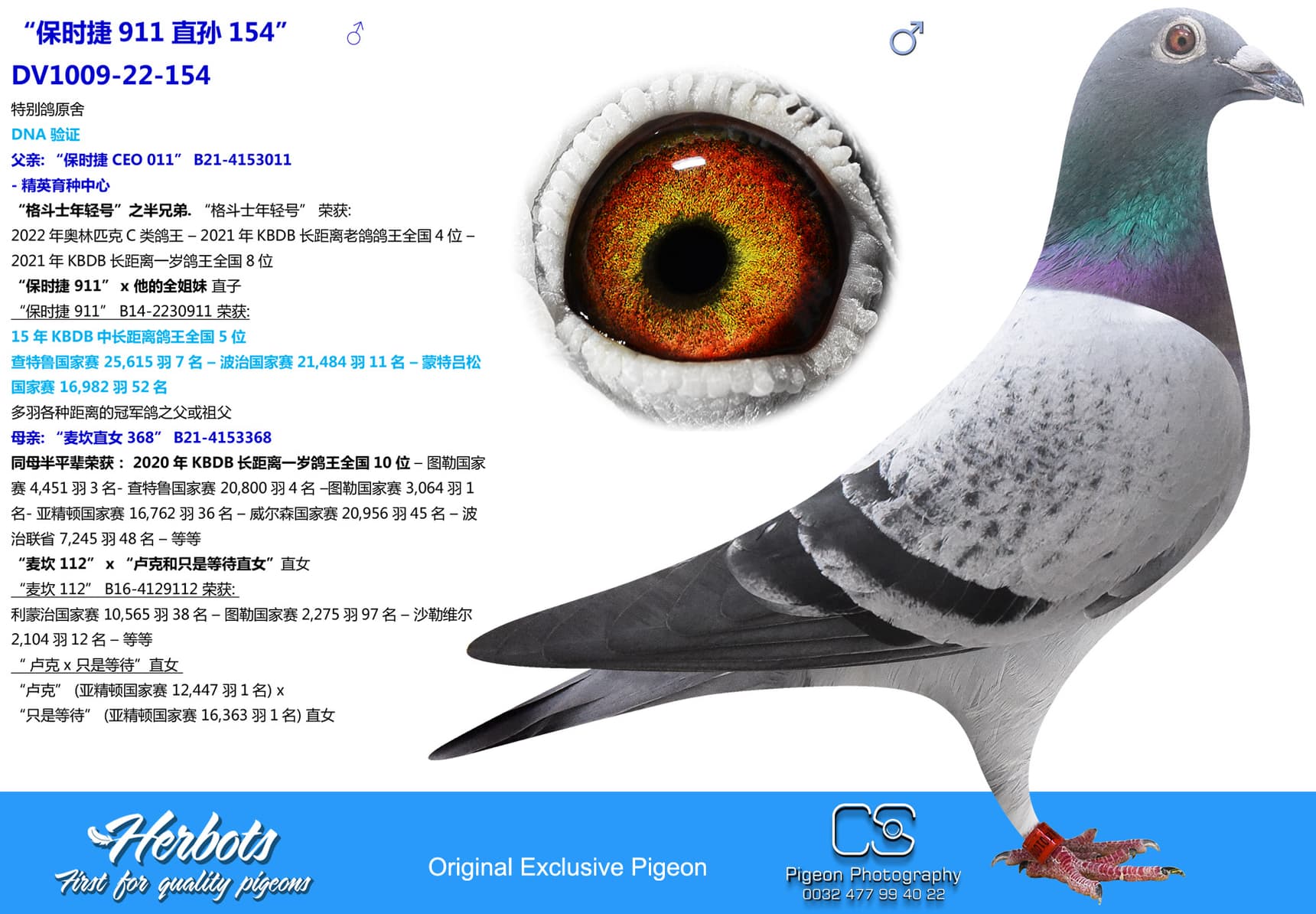 pigeon: “保时捷911直孙154”