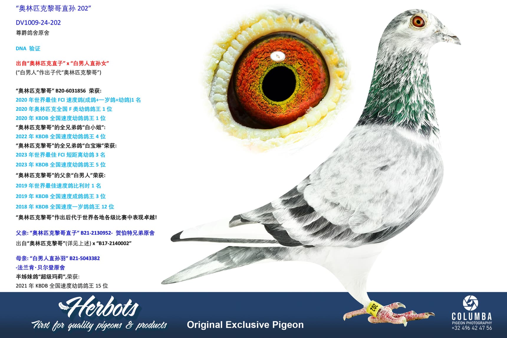 pigeon: undefined