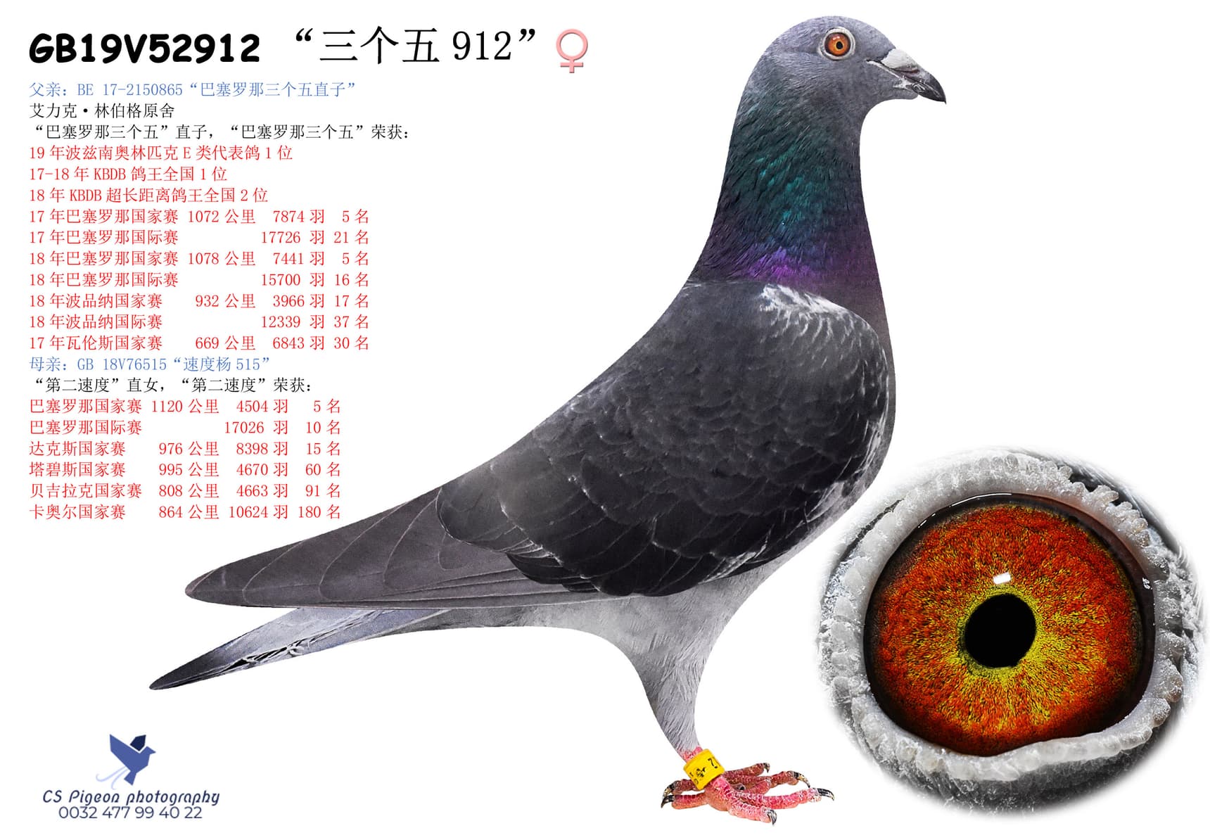 pigeon: “三个五912”