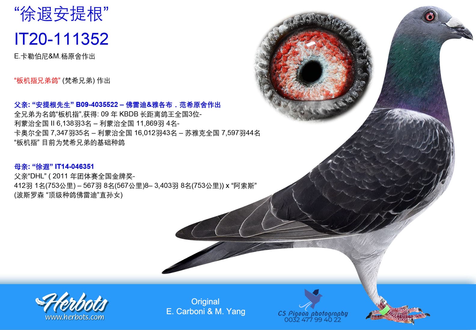 pigeon: undefined