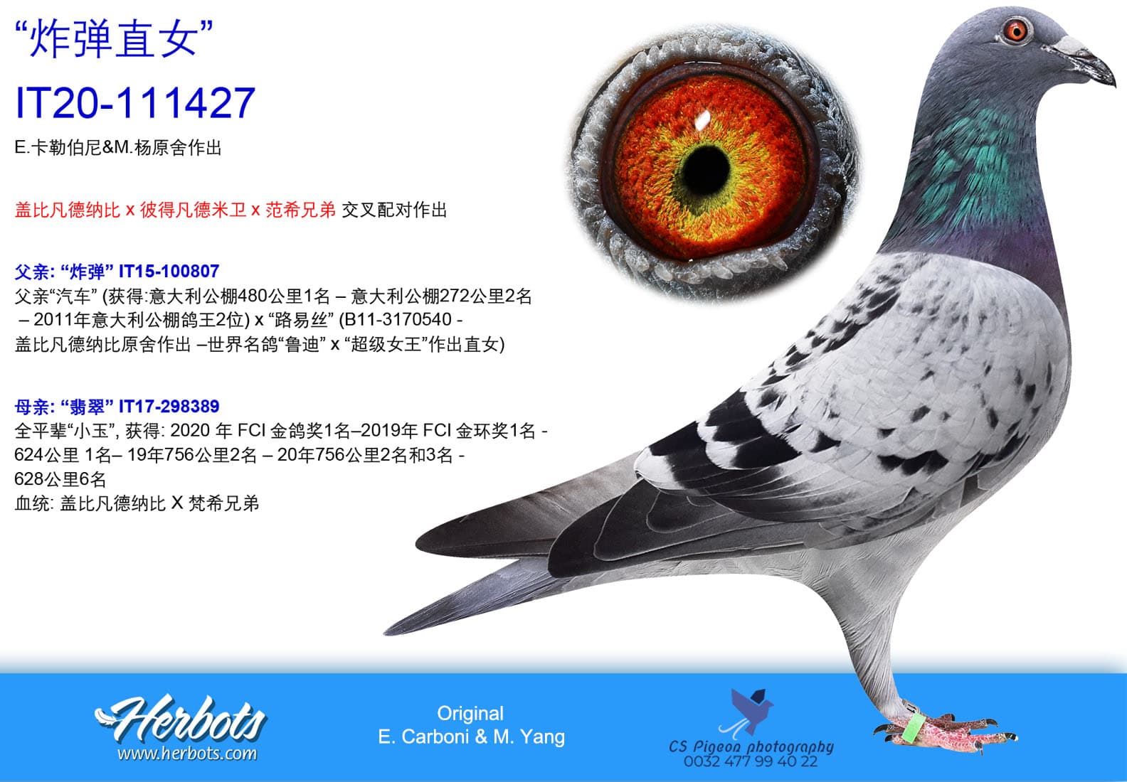 pigeon: undefined
