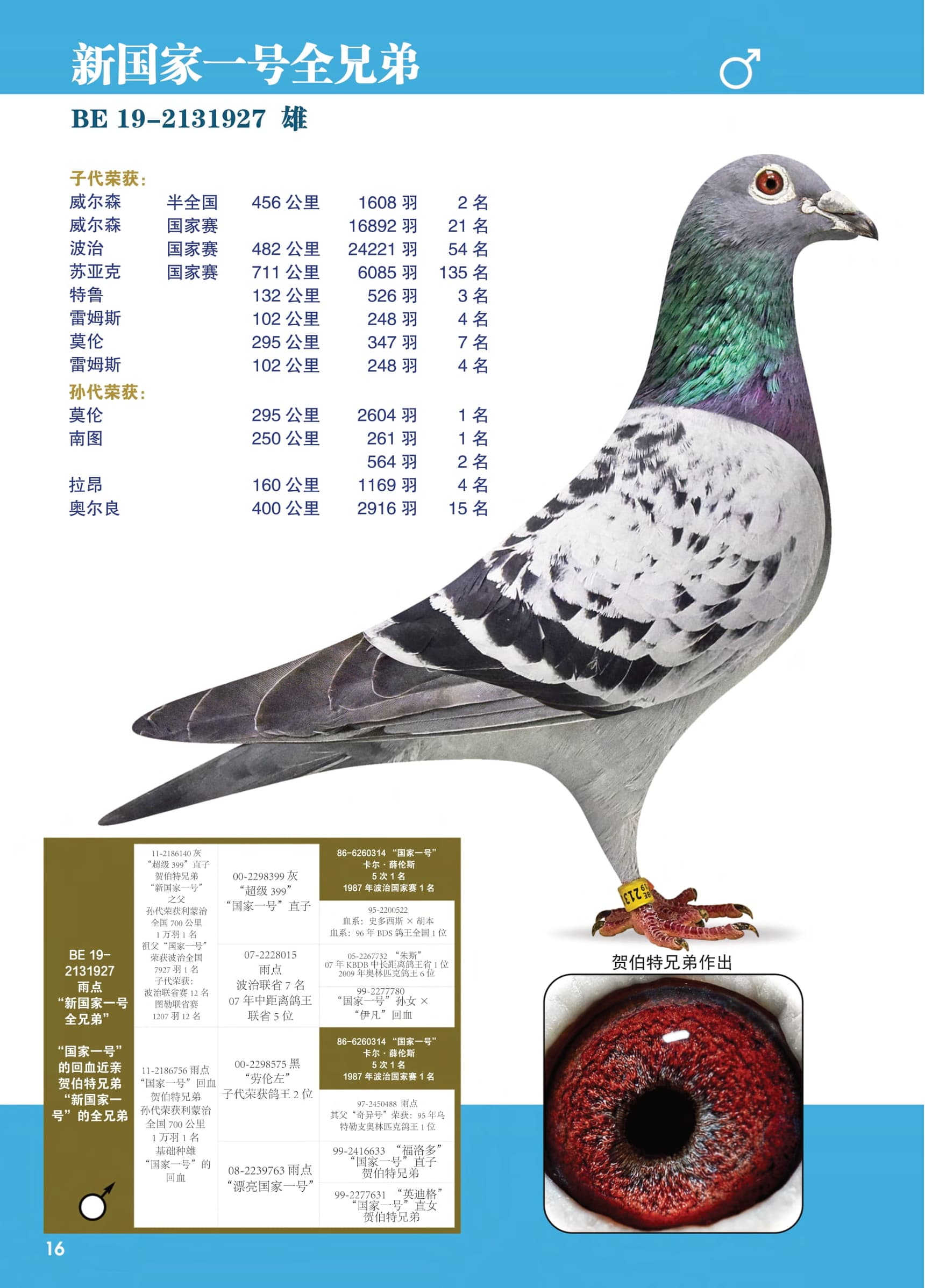 新国家一号兄弟