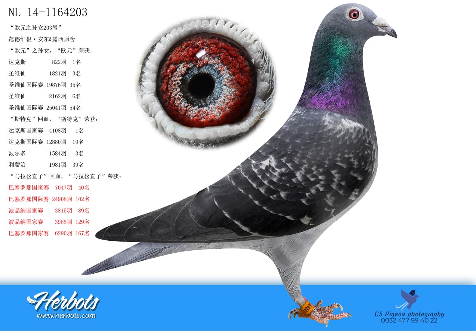 欧元之孙203号” - NL-14-1164203