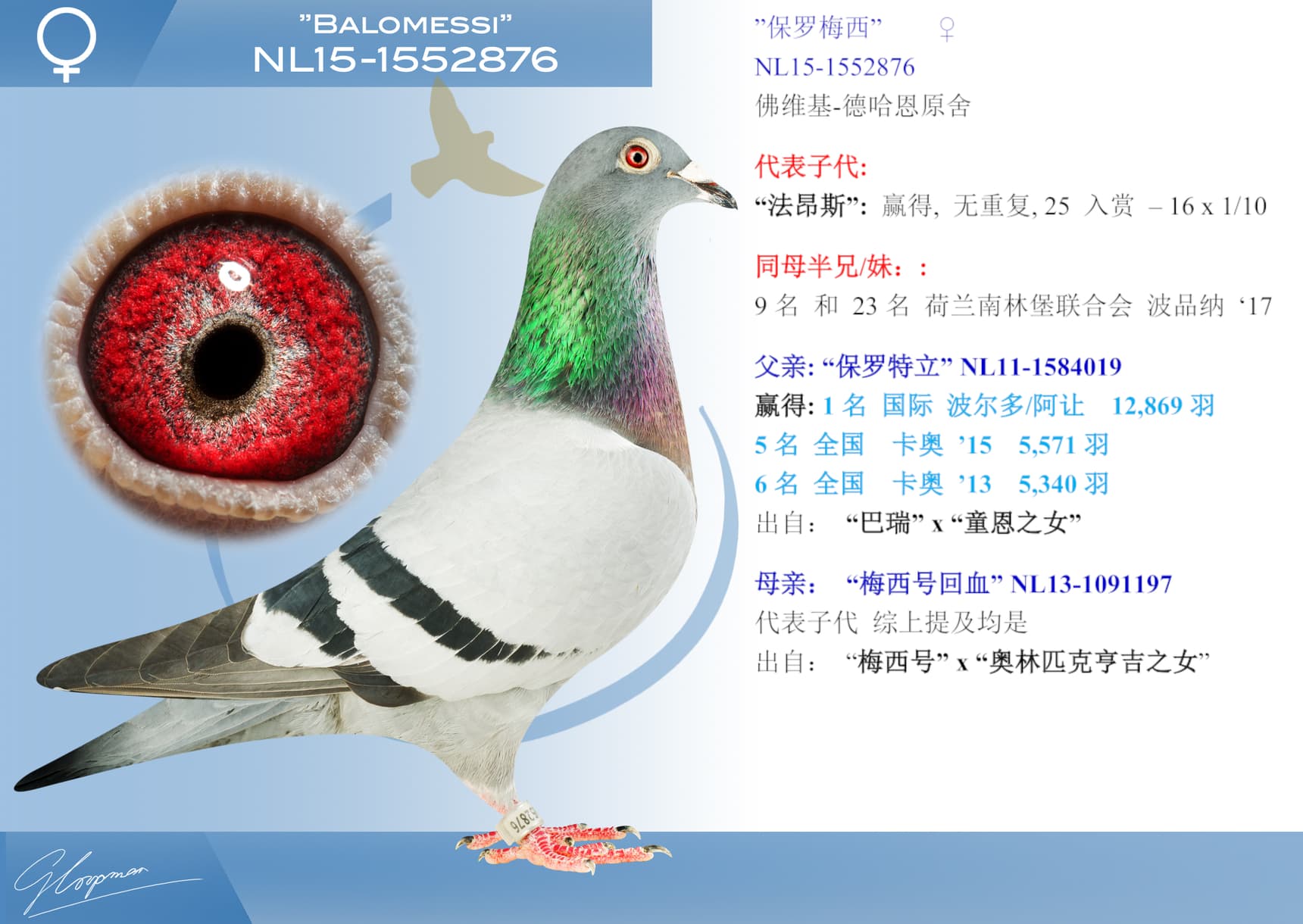 pigeon: undefined