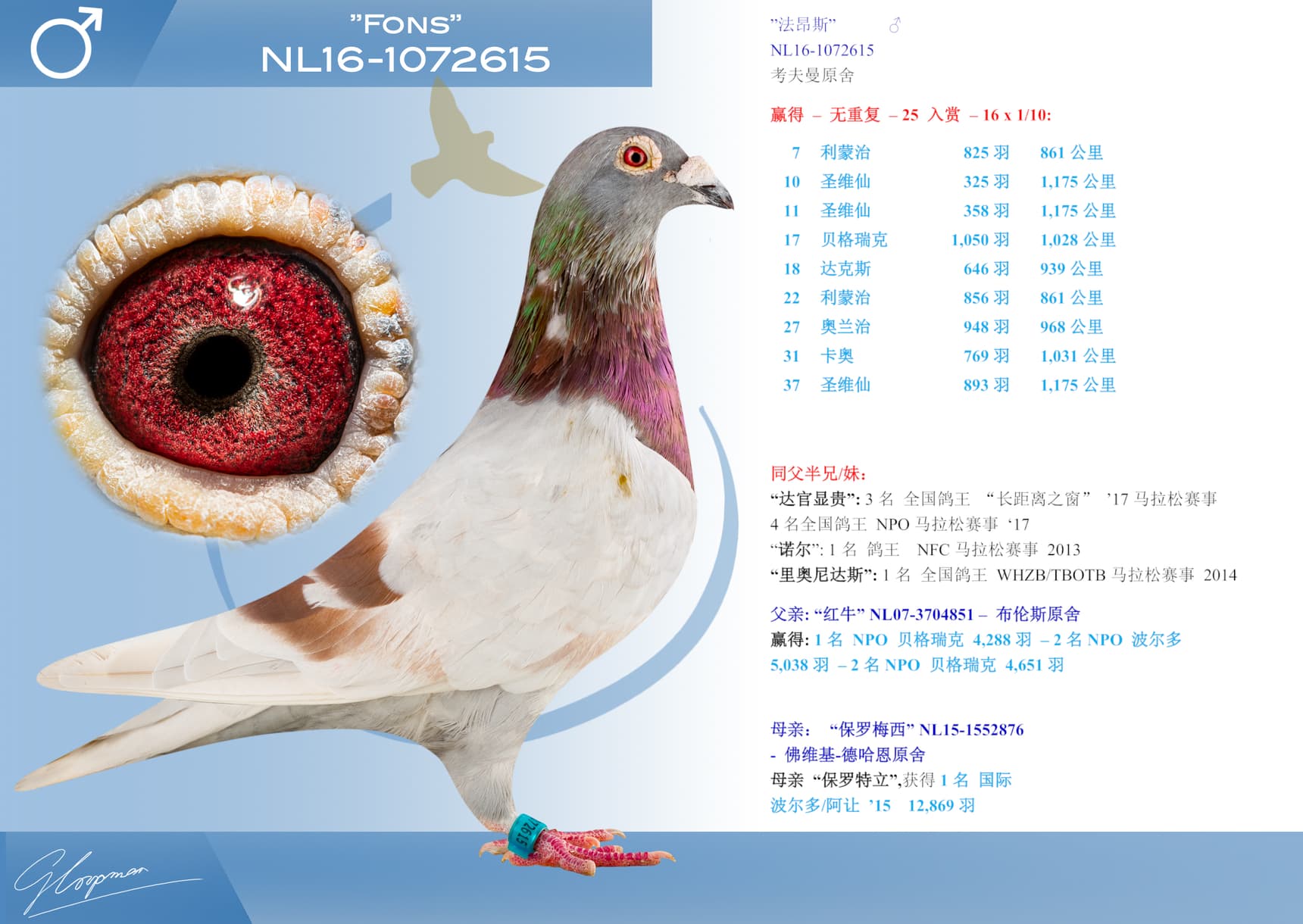 pigeon: ”法昂斯”