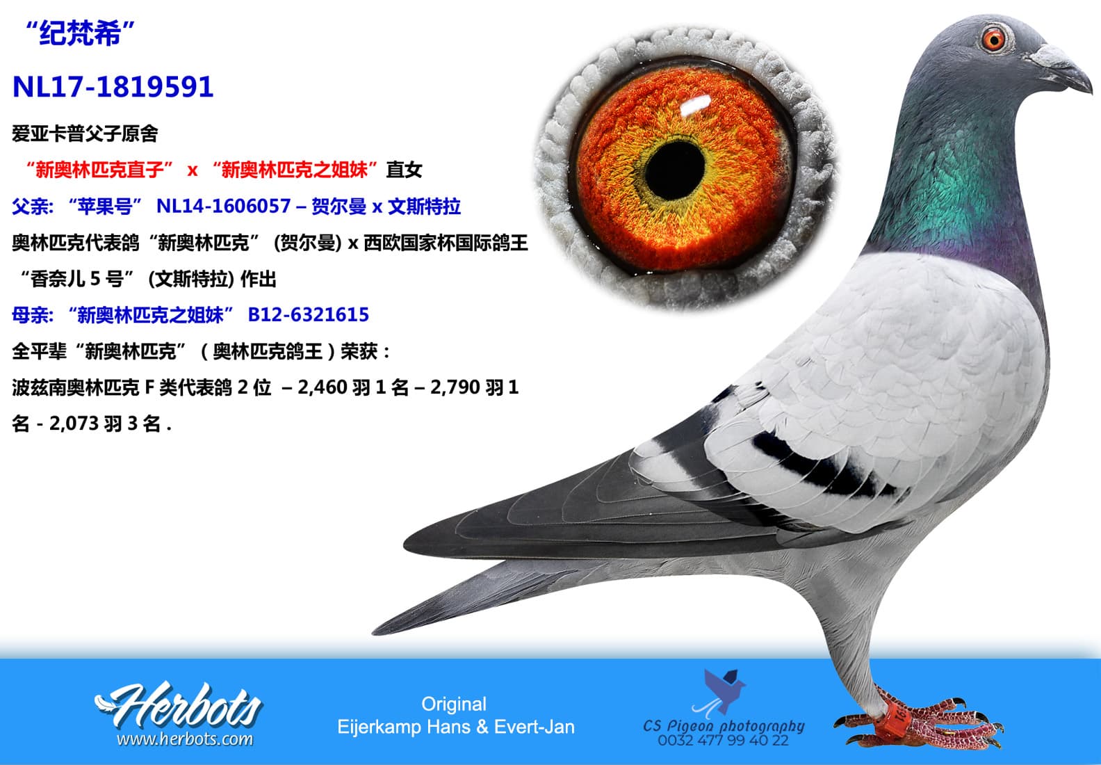 pigeon: “纪梵希”