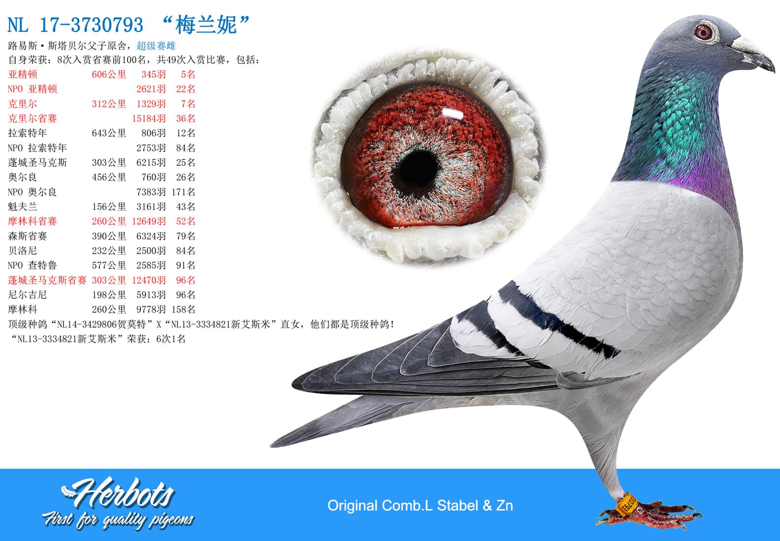 pigeon: “梅兰妮”