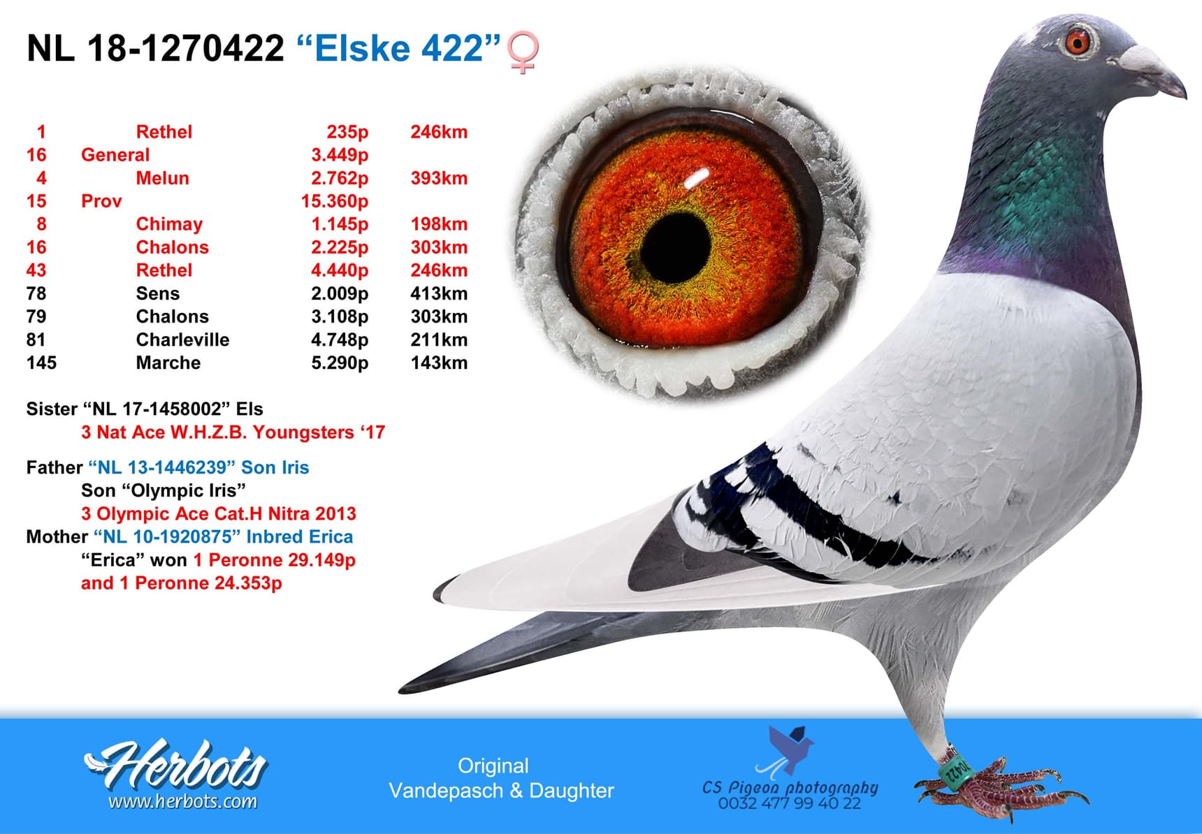 pigeon: “Elske 422”