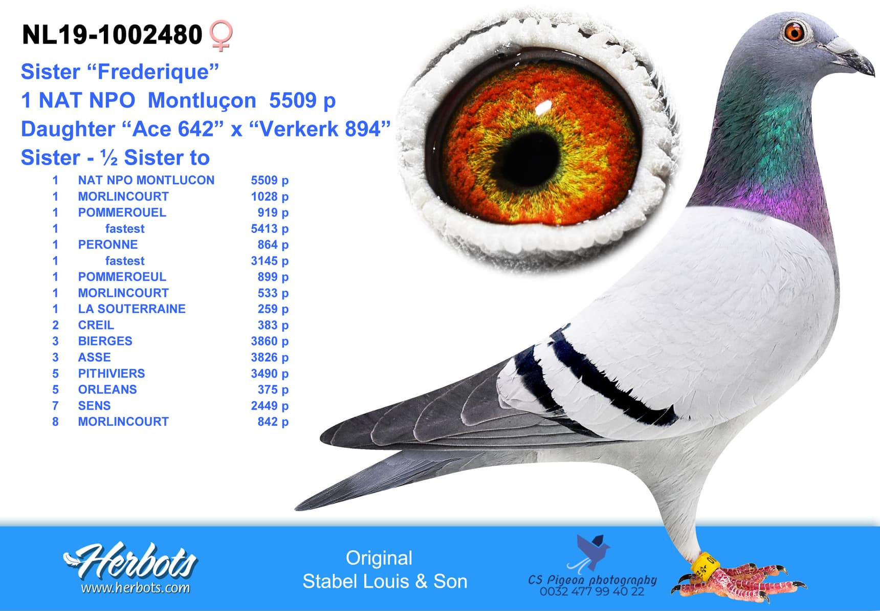 pigeon: Sister Frederique