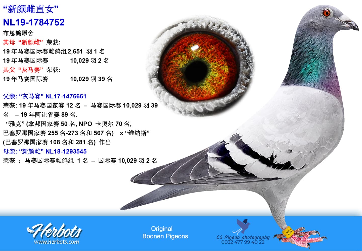 pigeon: “新颜雌直女”