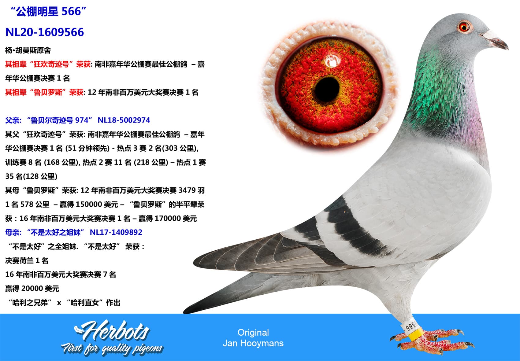 pigeon: undefined