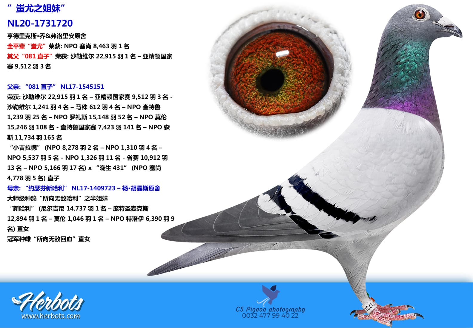 pigeon: ”蚩尤之姐妹”