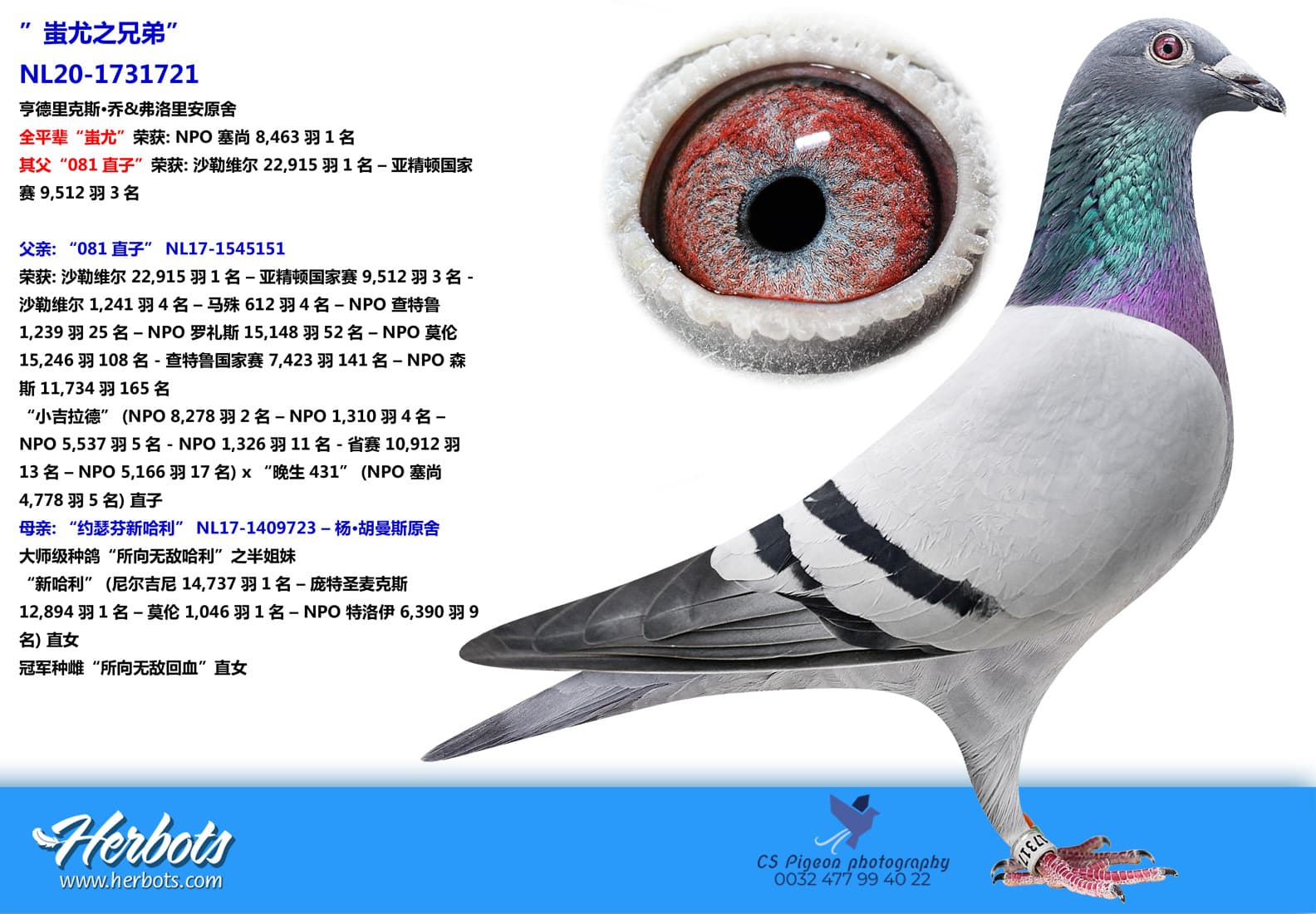 pigeon: ”蚩尤之兄弟”