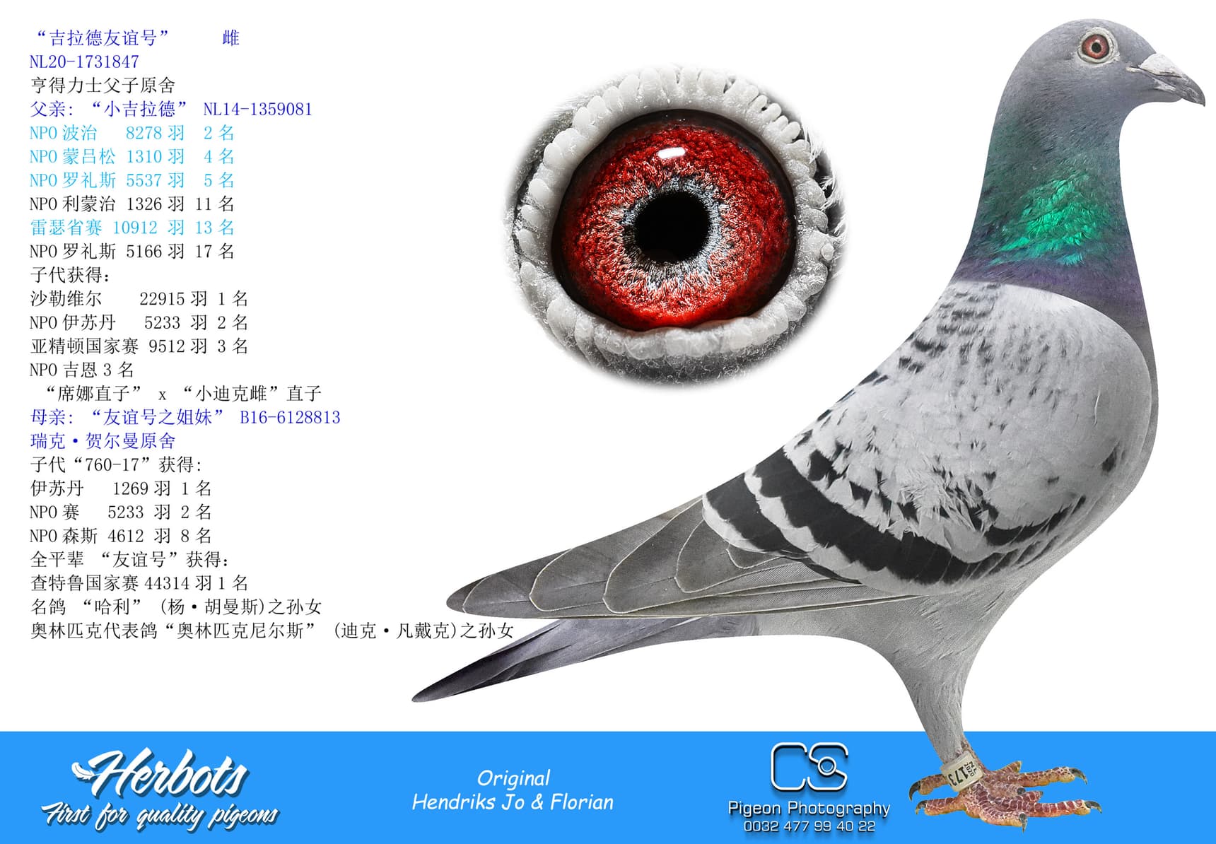 pigeon: “吉拉德友谊号”