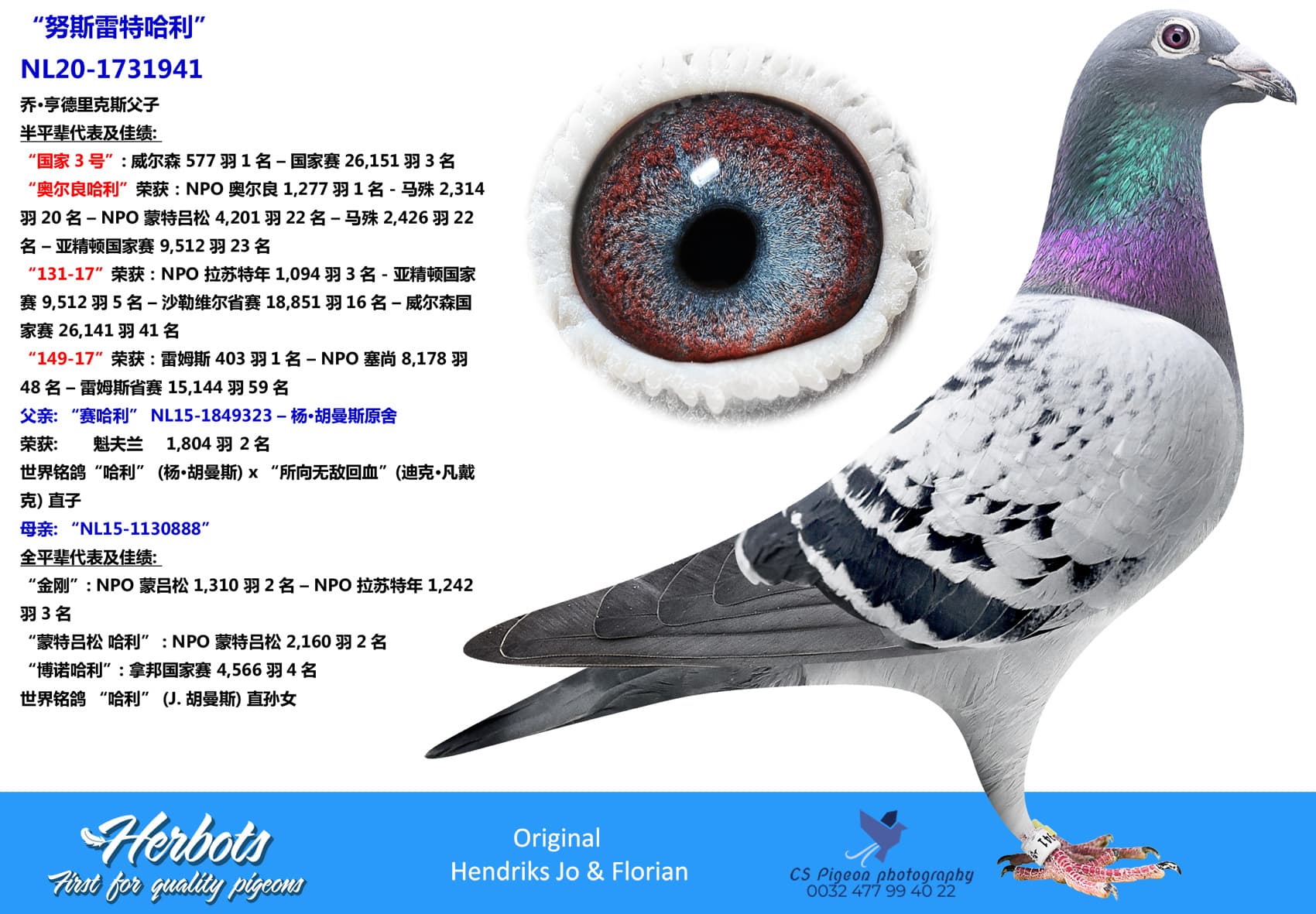 pigeon: “努斯雷特哈利”