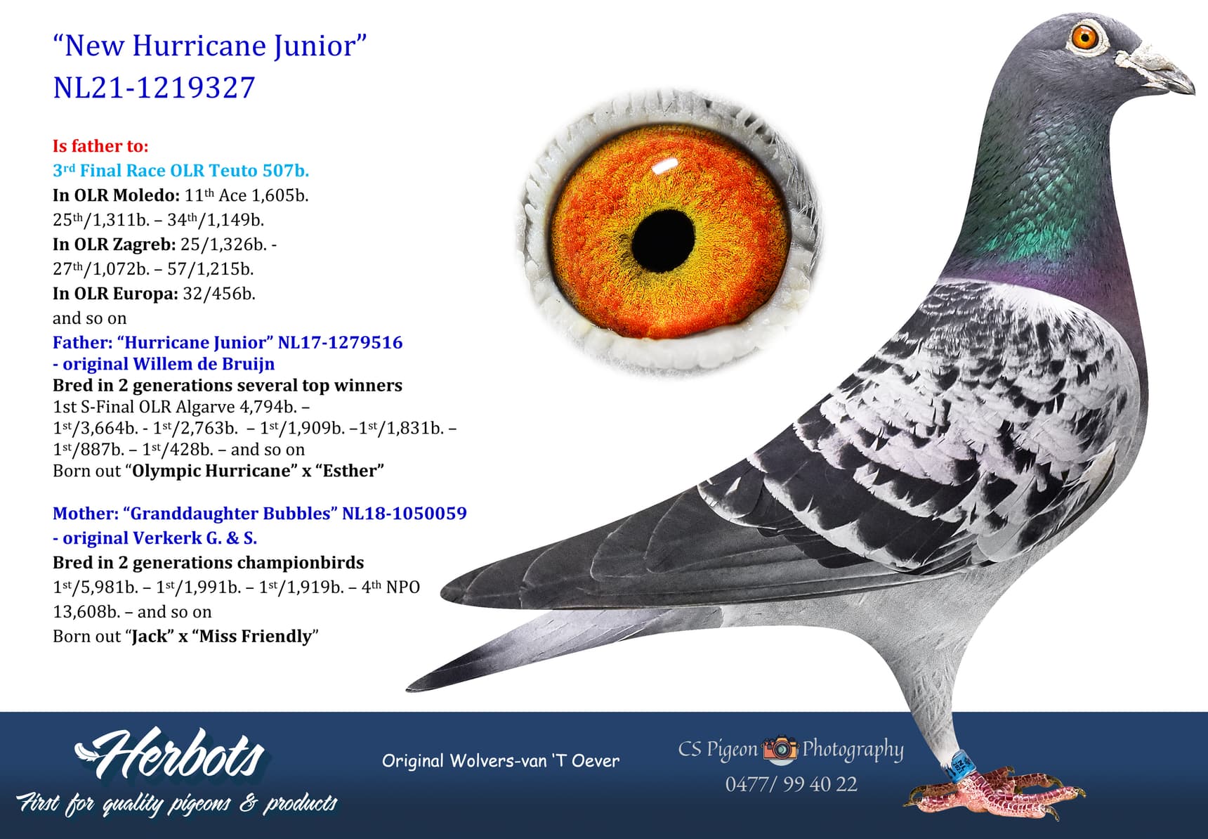 pigeon: undefined