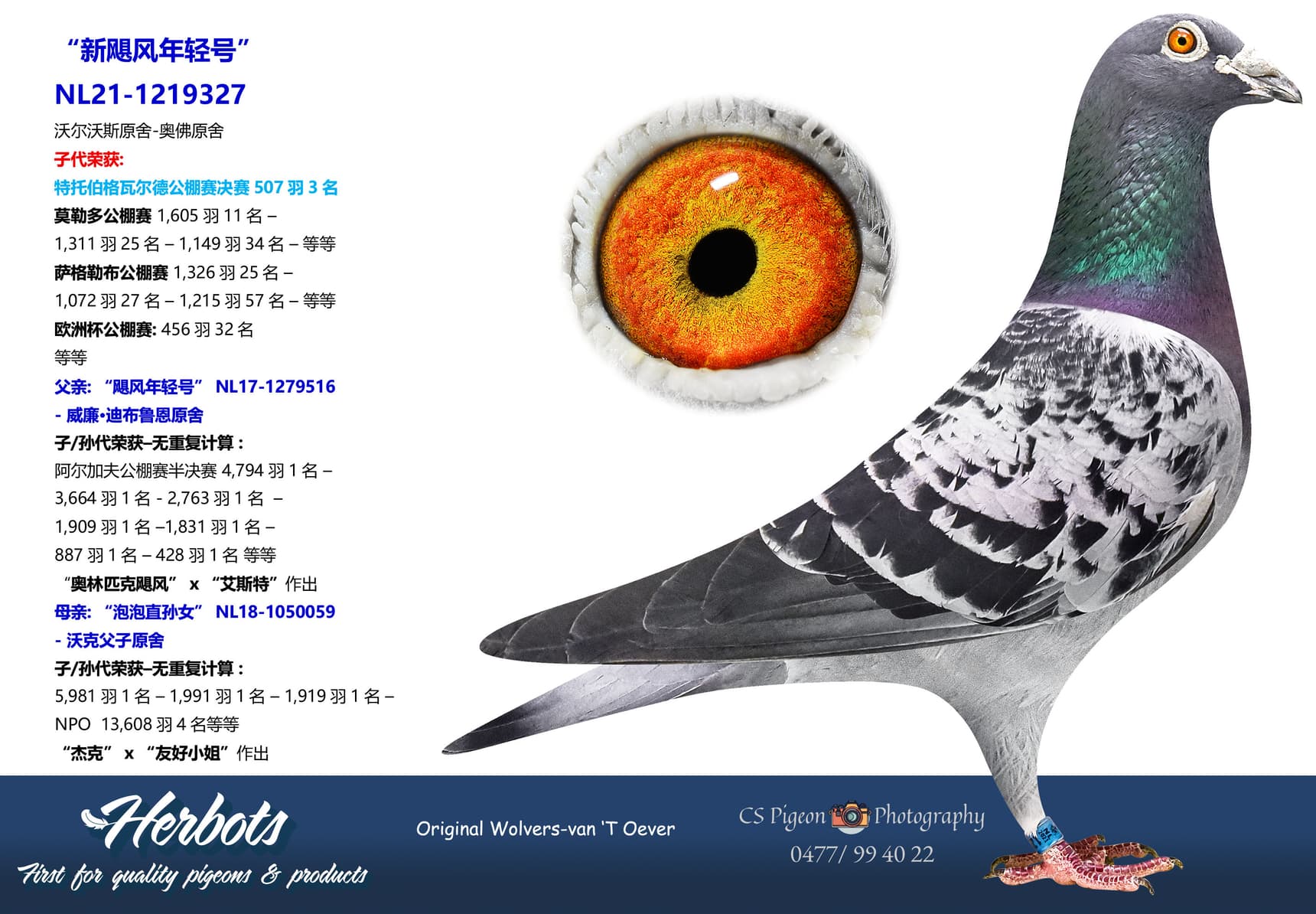 pigeon: undefined
