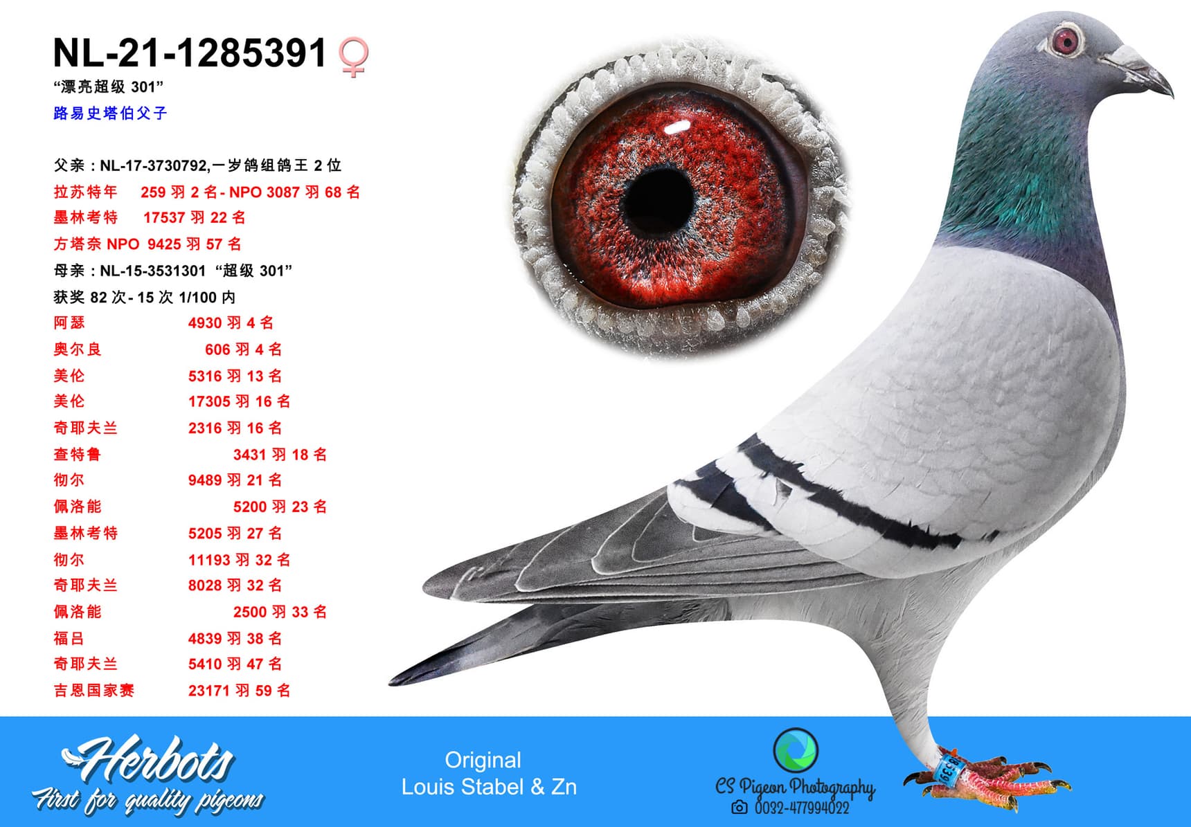 pigeon: undefined