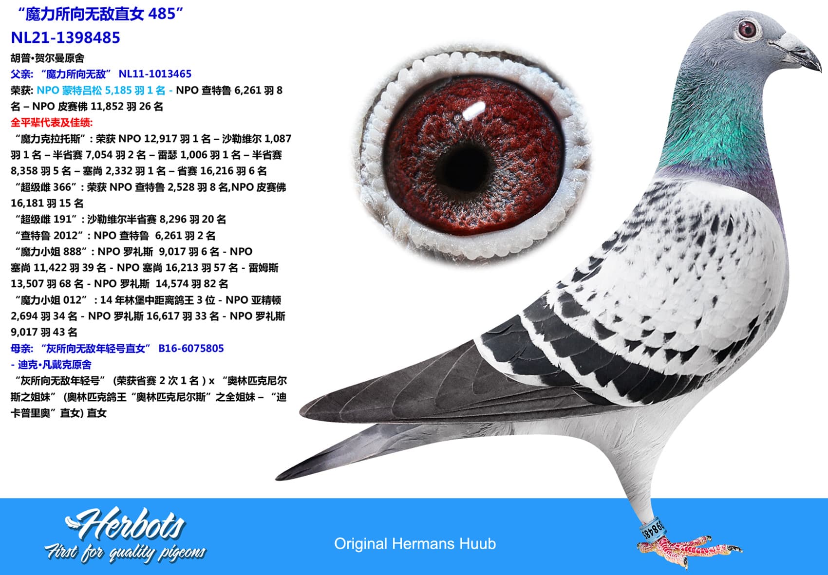 pigeon: “魔力所向无敌直女485”