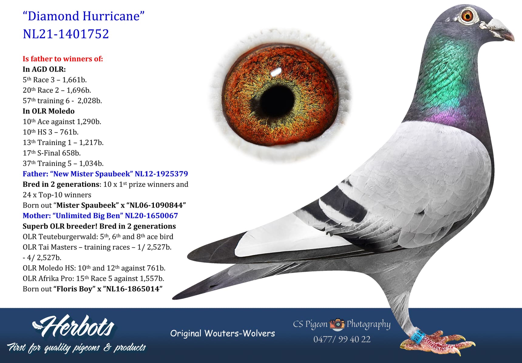pigeon: undefined