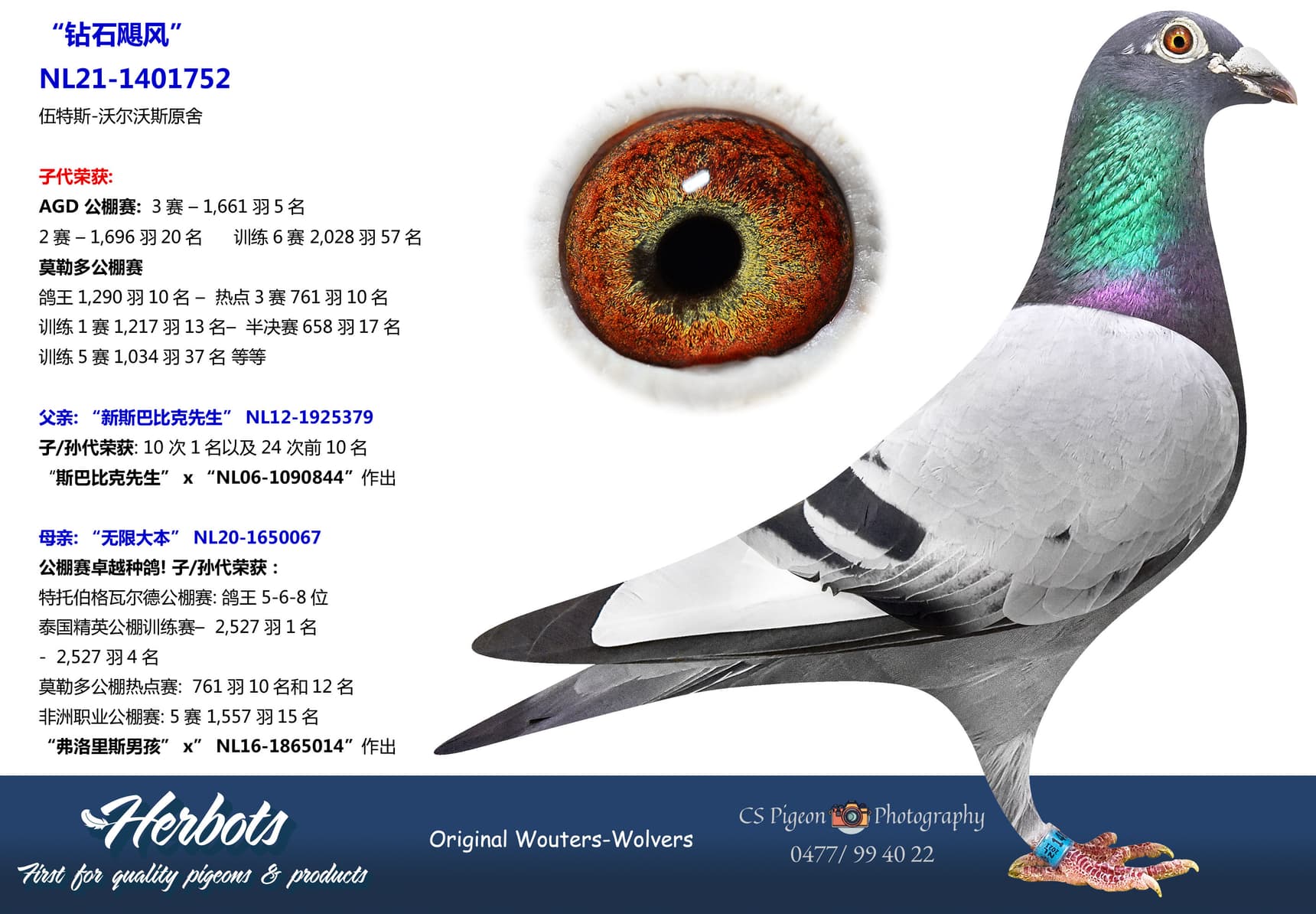 pigeon: undefined