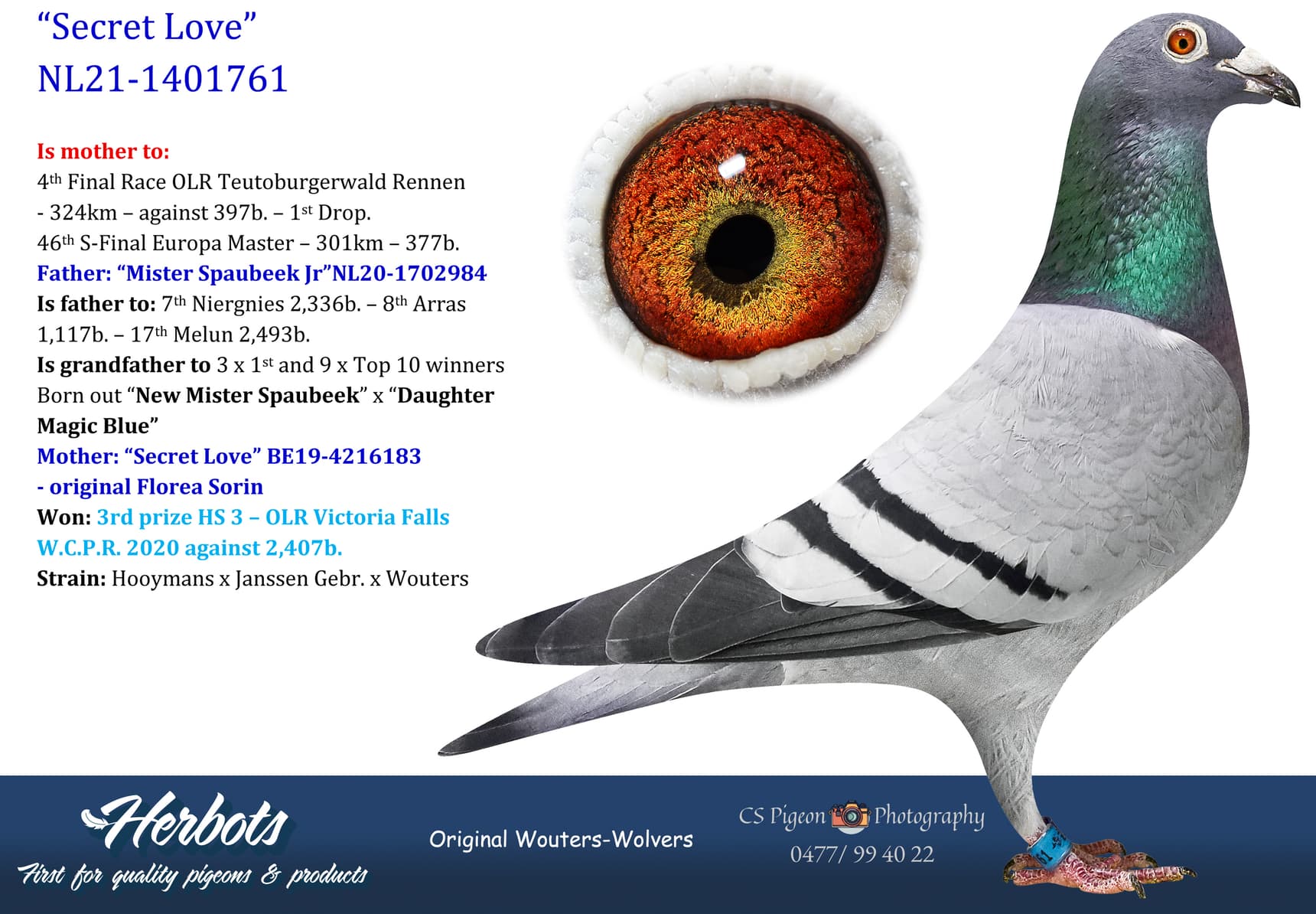 pigeon: undefined