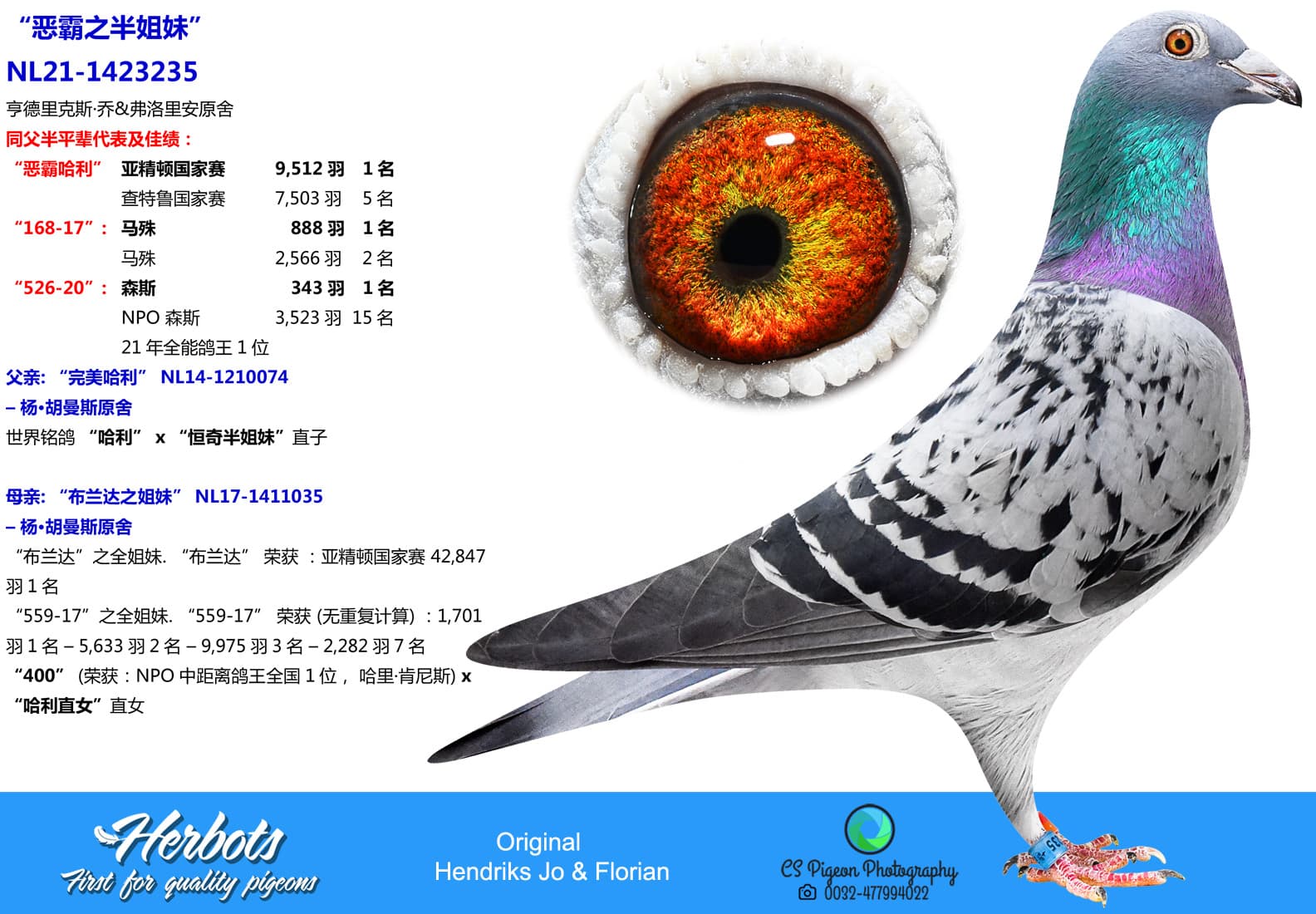 pigeon: undefined