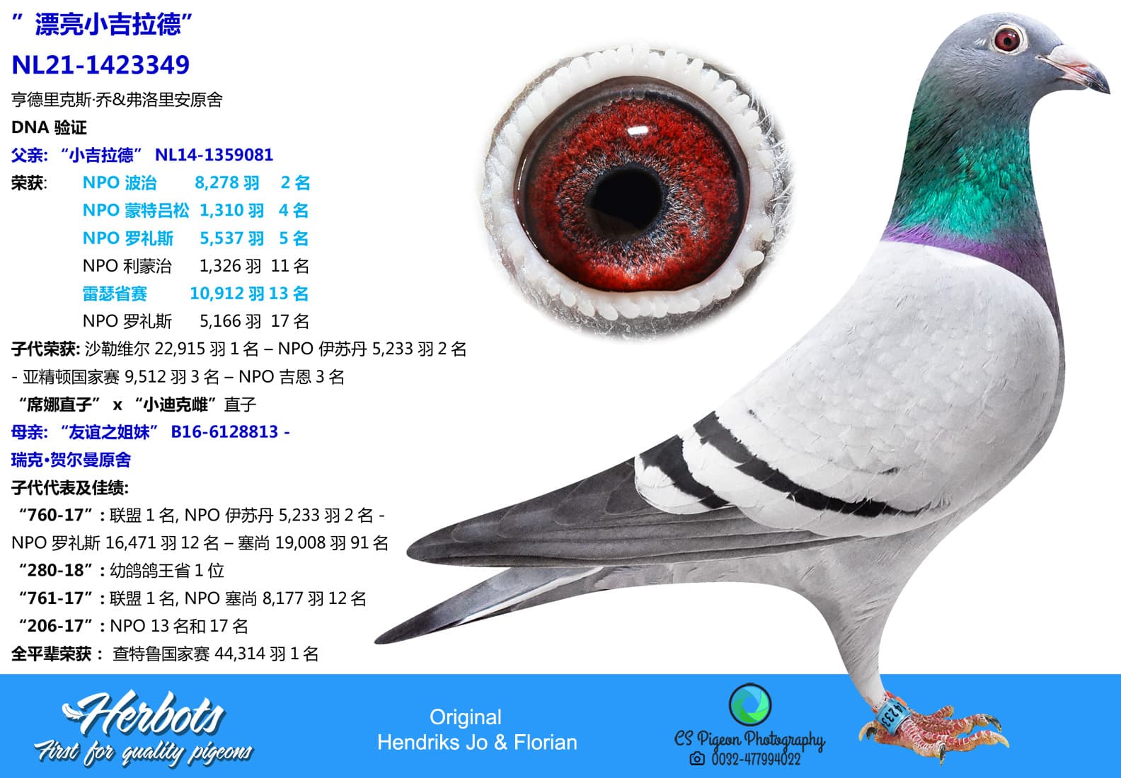 pigeon: undefined
