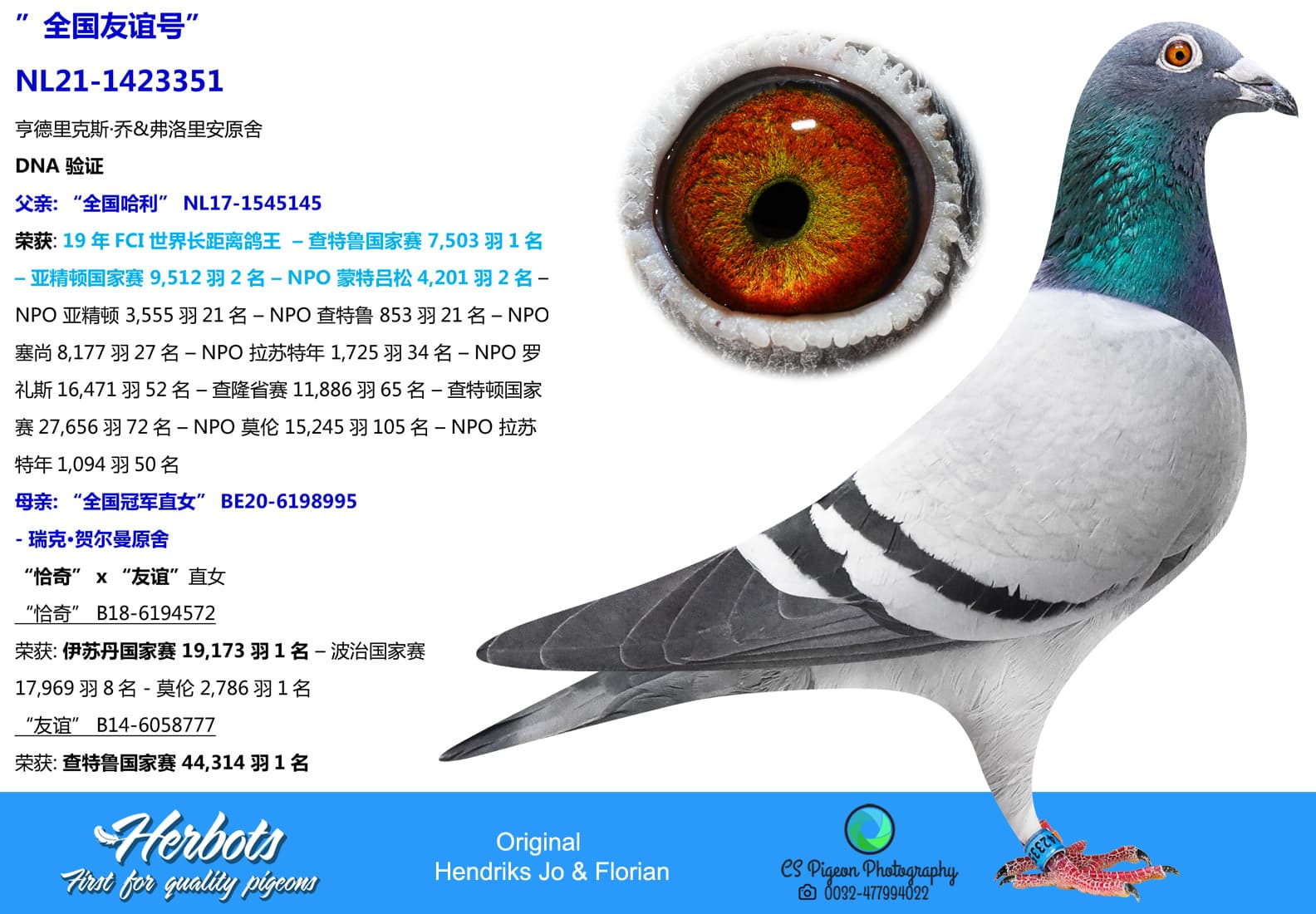 pigeon: undefined