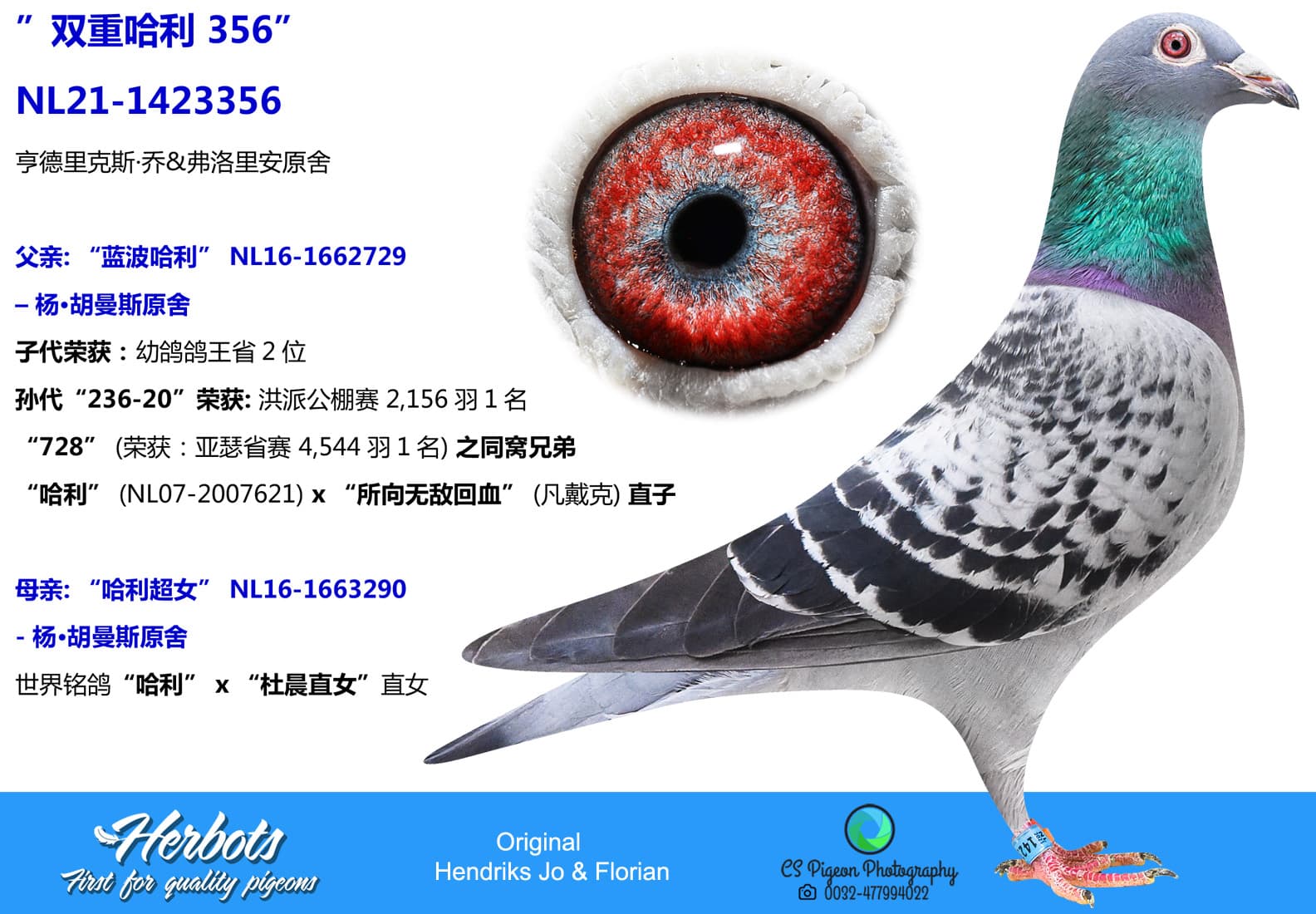 pigeon: ”双重哈利 356”