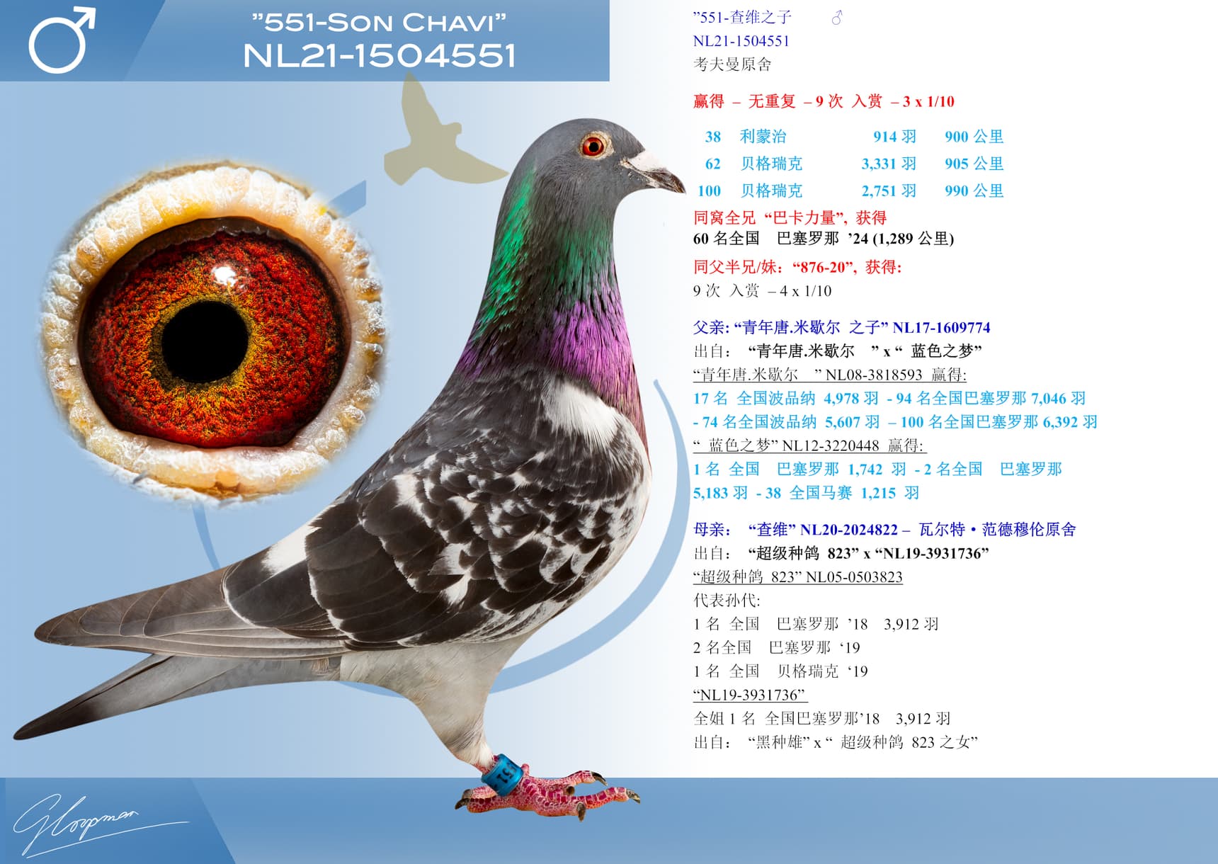 pigeon: undefined