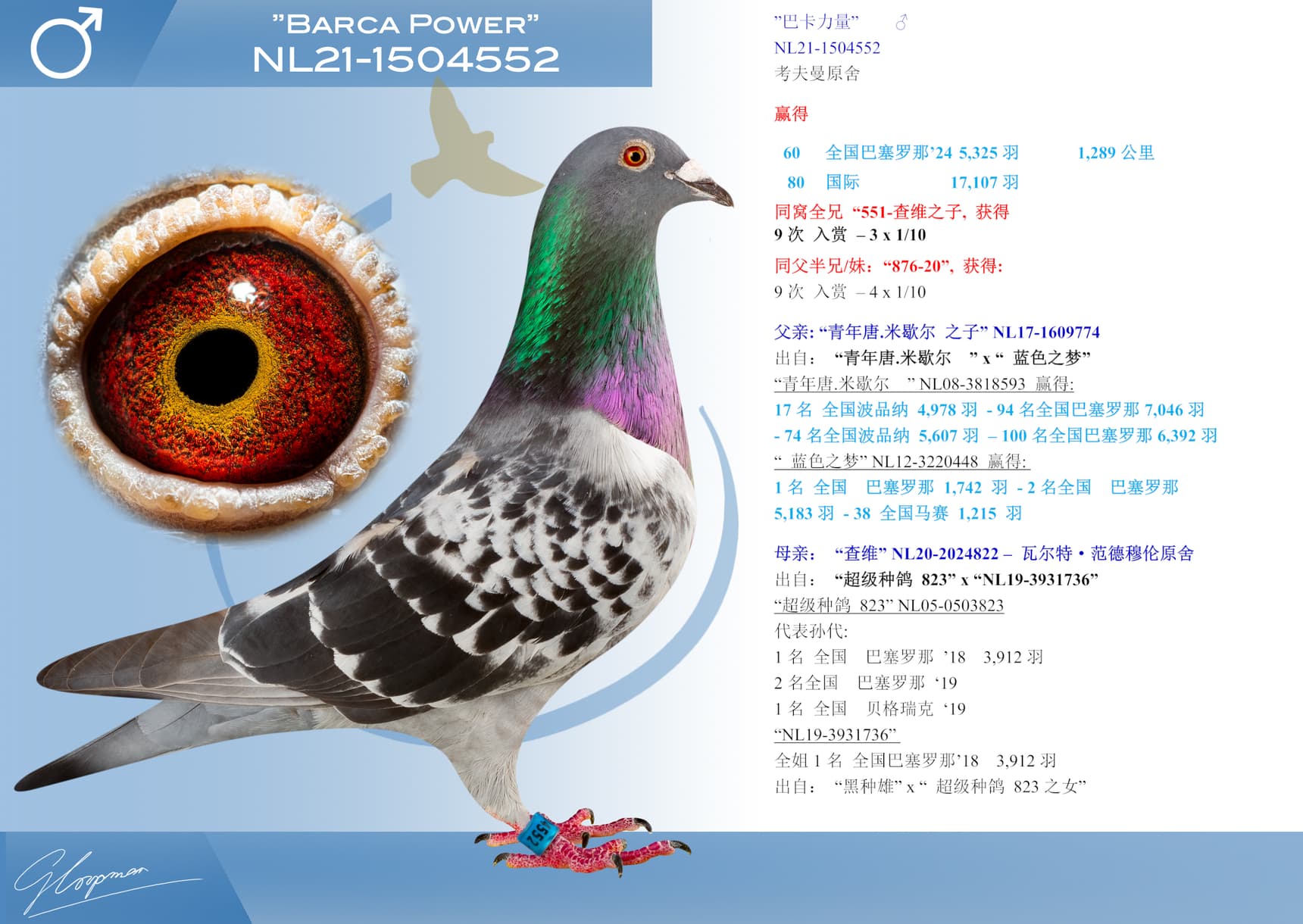 pigeon: undefined