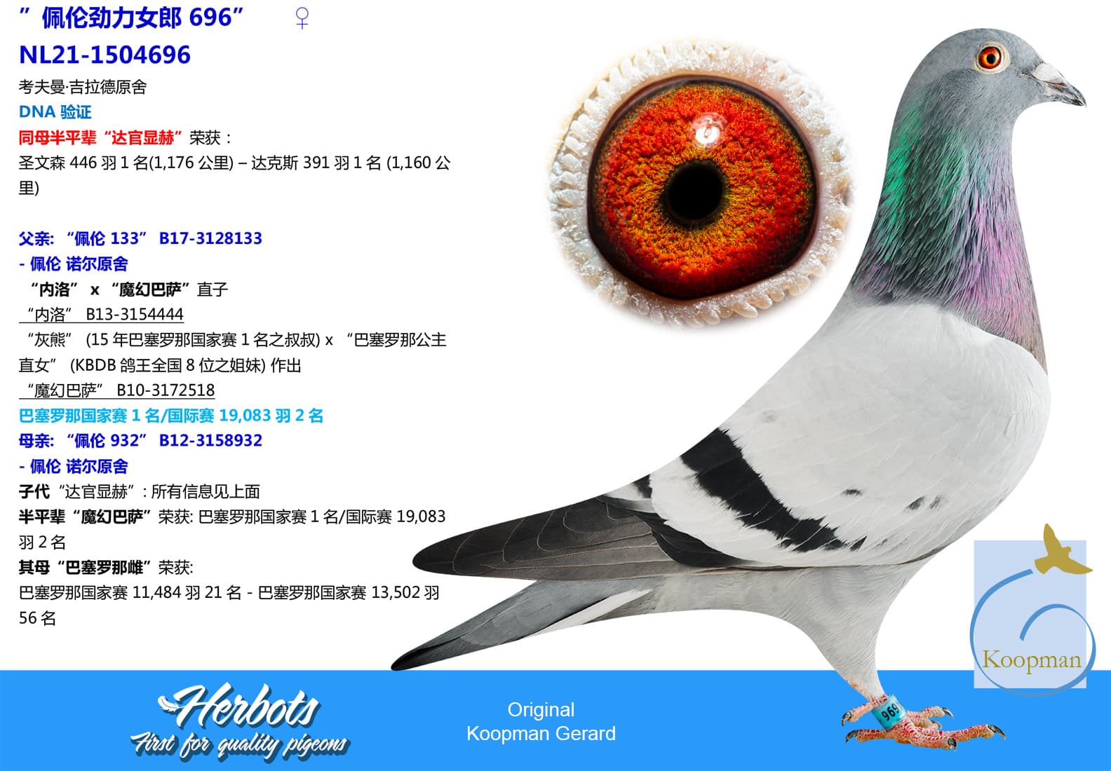pigeon: undefined